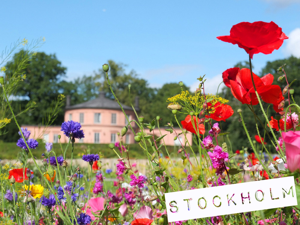 Spotlight :: Stockholm