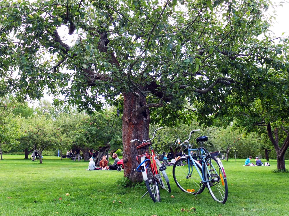 Fika in the orchard at Rosendals Trädgård