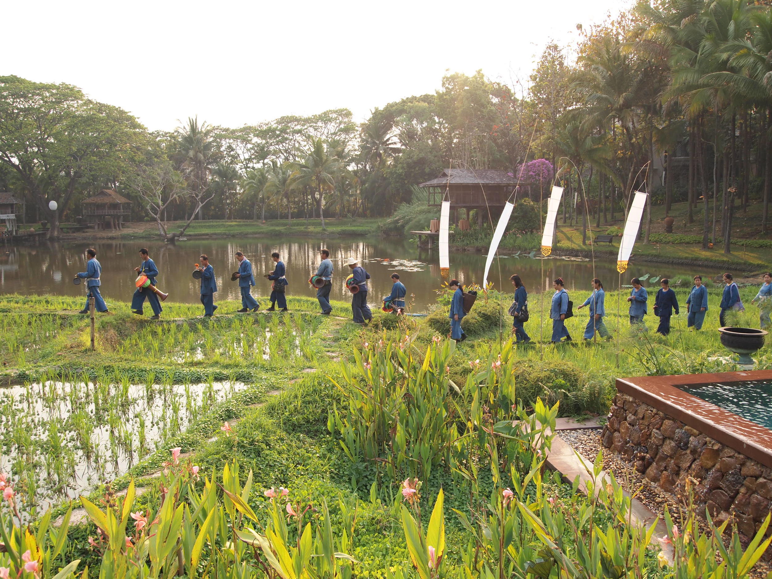  Thailand. Four Seasons Resort Chiang Mai. The rice paddy parade, an end-of-day procession happening every night at 4.50pm to commemorate the end of the work day on the resort's working rice field.&nbsp;   