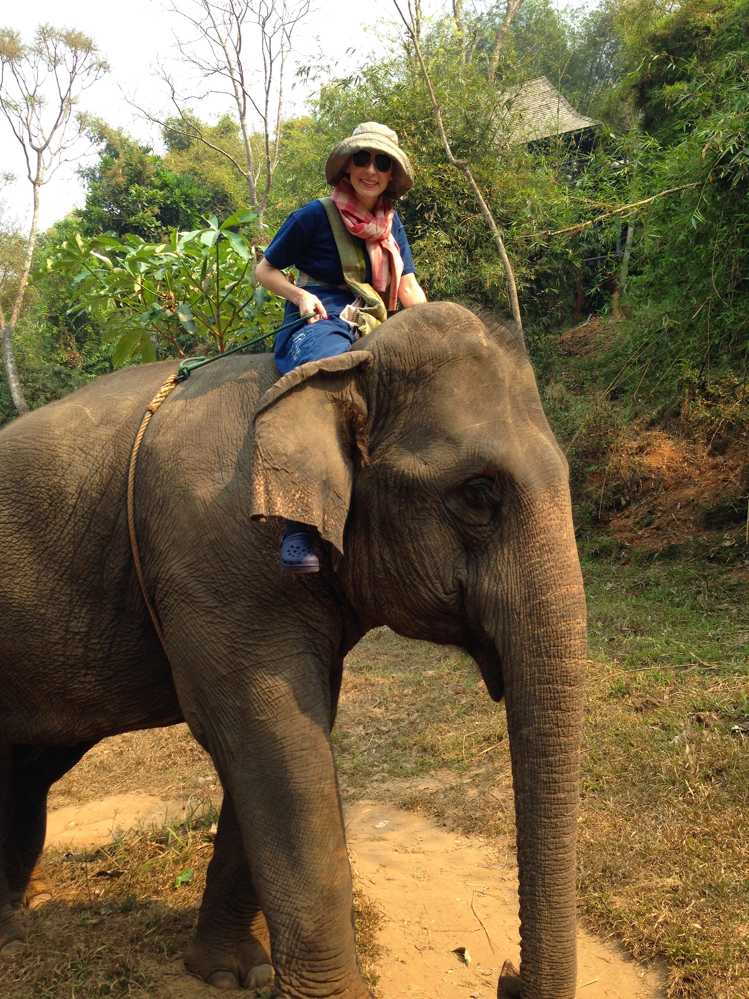  Thailand. Learning how to ride an elephant at the&nbsp;Four Seasons Tented Camp Golden Triangle. 