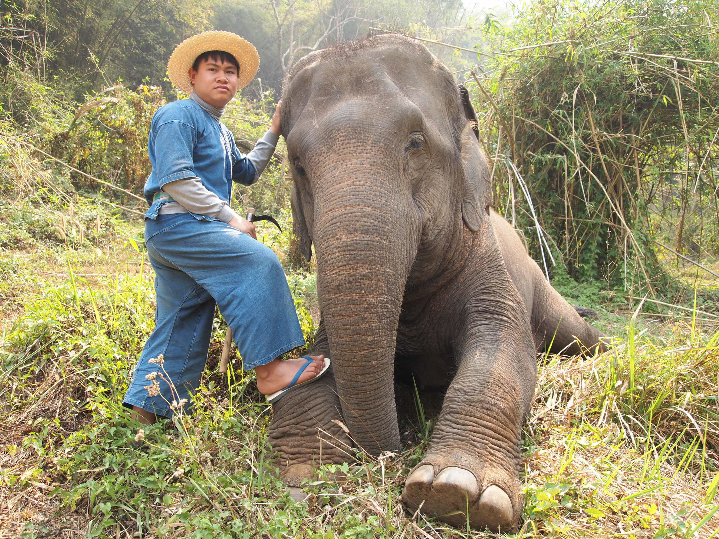  Thailand. My elephant and his mahout {elephant handler} at the&nbsp;Four Seasons Tented Camp Golden Triangle. 