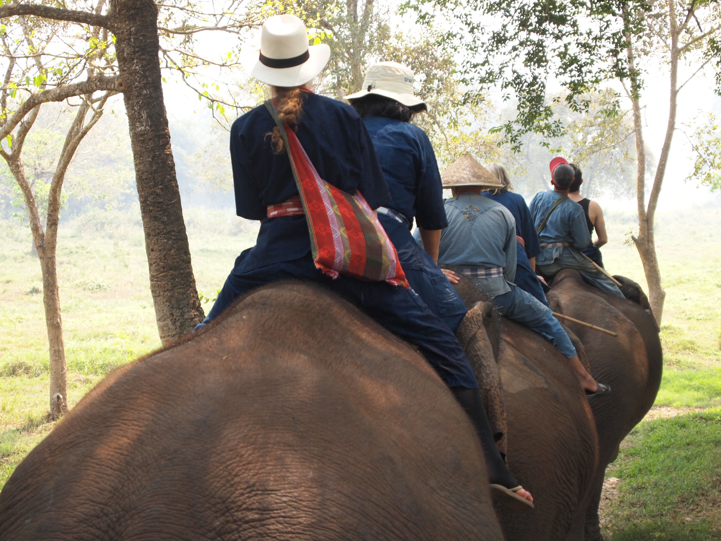  Thailand. Trekking at the Four Seasons Tented Camp Golden Triangle. 