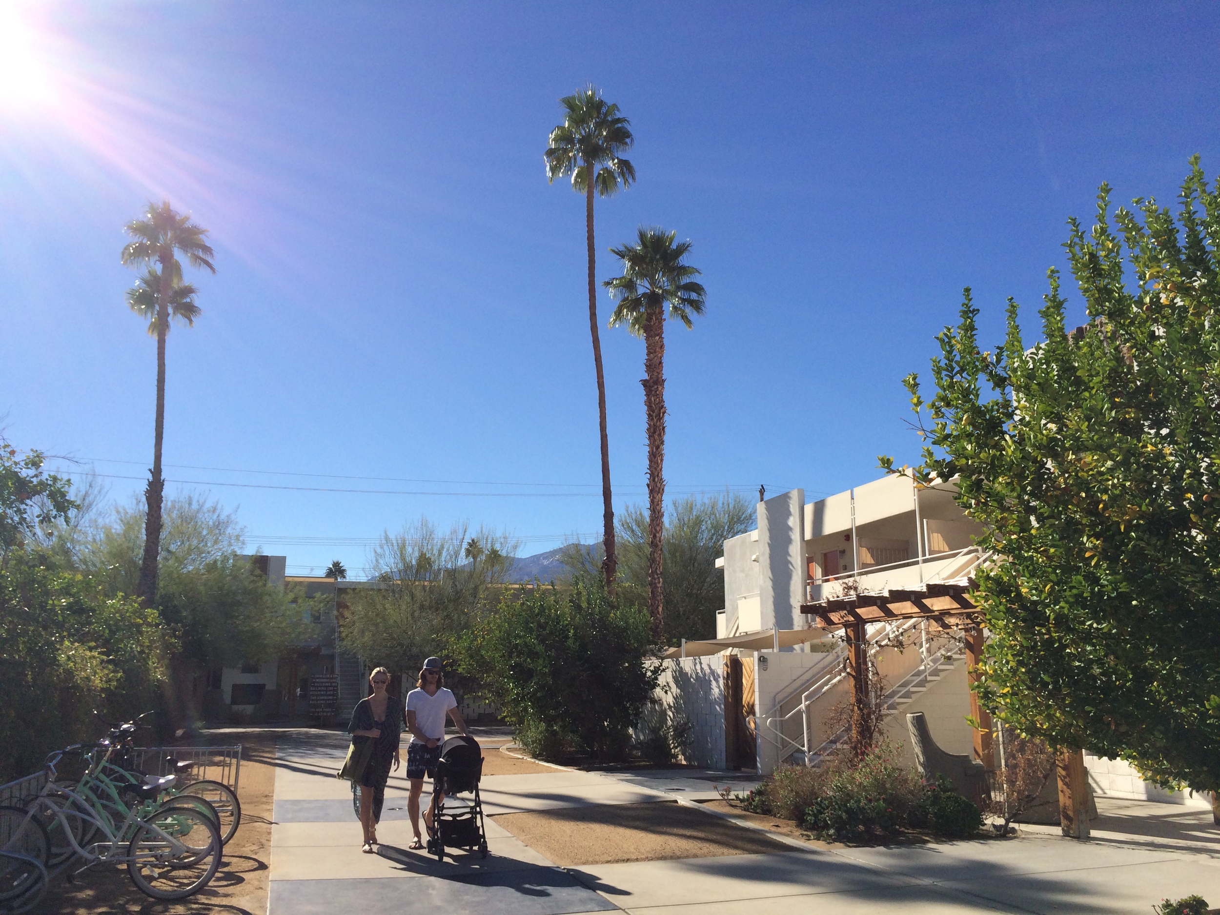  California. Ace Hotel &amp; Swim Club Palm Springs.&nbsp; 