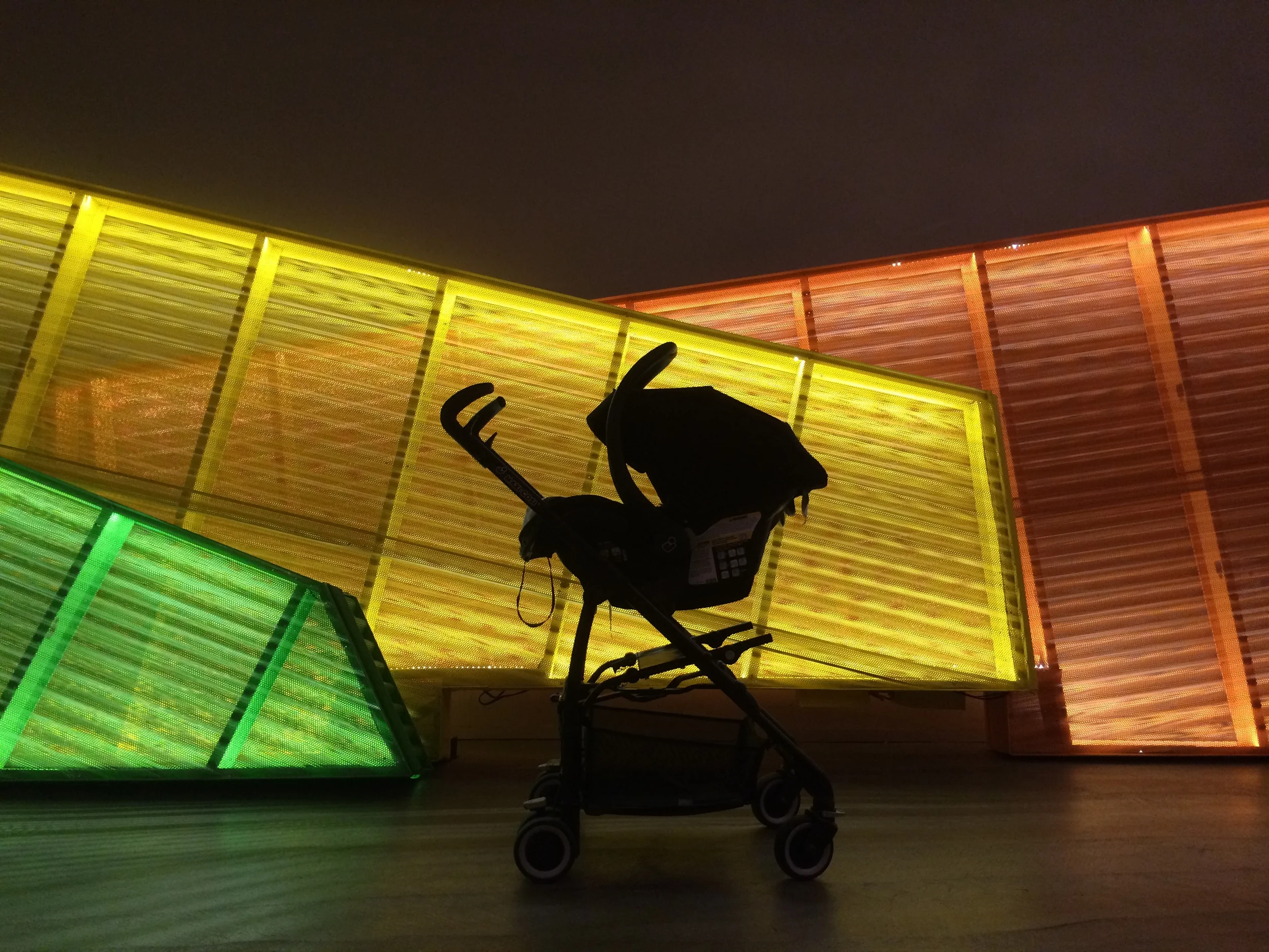 Baby Styler's First Trip