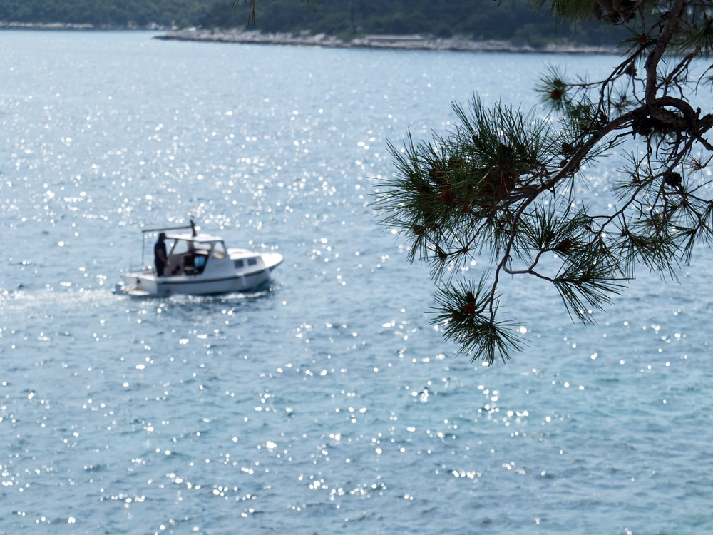 A fisherman on the Adriatic Sea&nbsp;