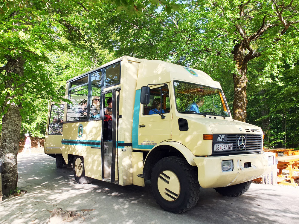 For a Euro-Disney-meets-Jurassic-Park experience, take a "train" {which the park calls its shuttle buses} from the top of the Upper Lakes back to the park entrance. 
