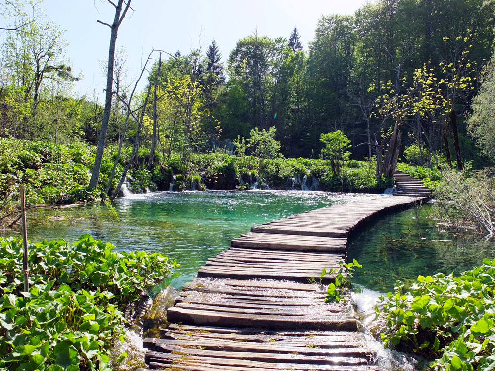 Miles of plank walks connect the 16 lakes.