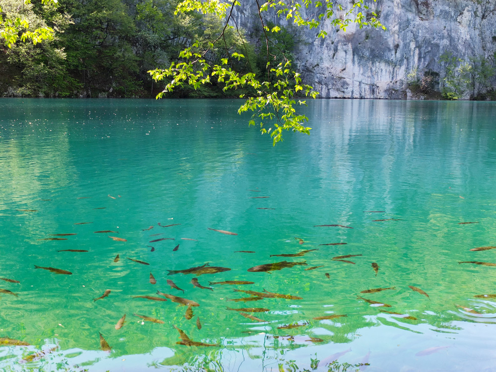 The no-swimming and no-fishing rules guarantee a serene surrounding, but if it's warm, you'll really, really want to jump in.
