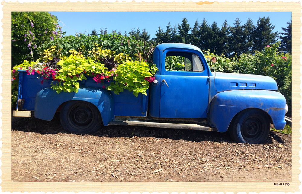 Pack a picnic basket and stop for berries at one of the many farm markets and pumpkin patches on the island. Looking for a hike? There are a several 2-3-mile trails on the island. Can't get enough? Plan your trip around one of several long table dinners over the summer or stay in this modern farm cottage .
