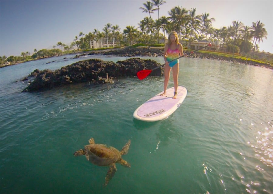 For the nature encounters à la paddleboard