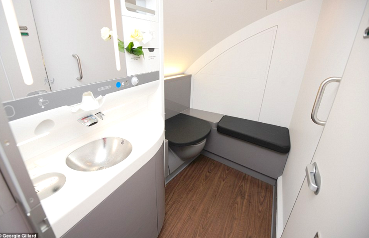 Travel Etiquette :: Using Airplane Bathrooms