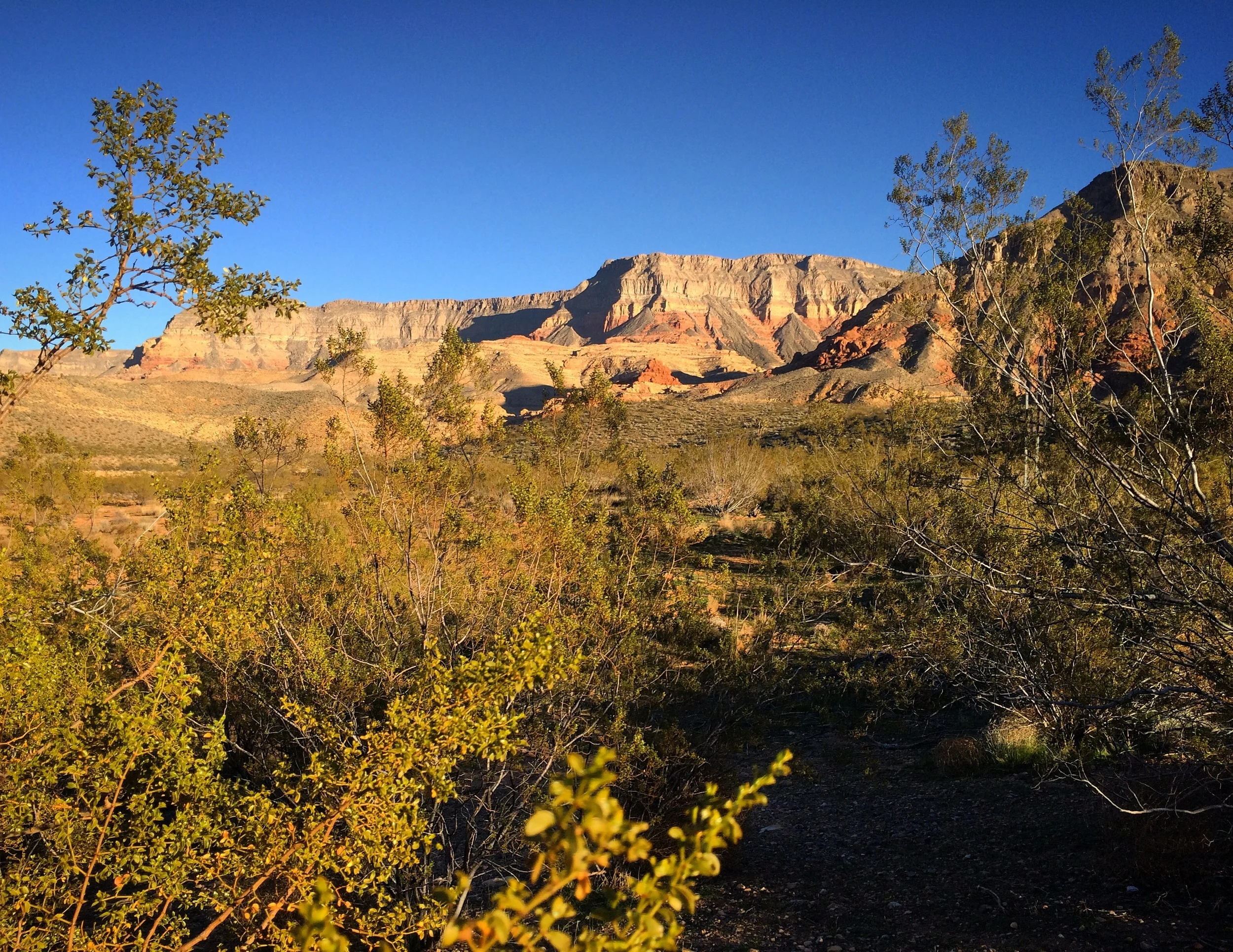 More roadside vistas.