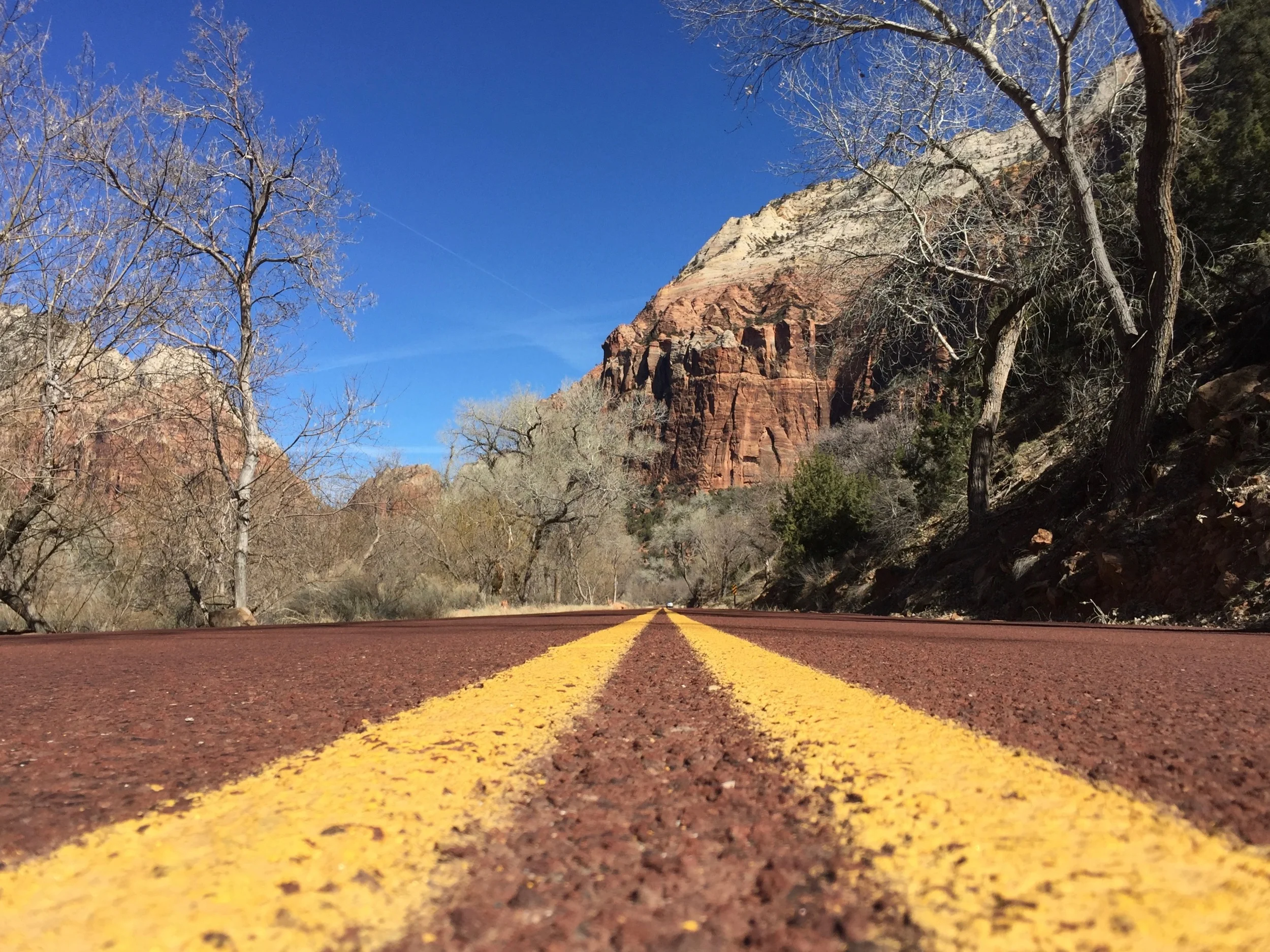 Road trip from Vegas to Zion. Budget three hours of driving time.