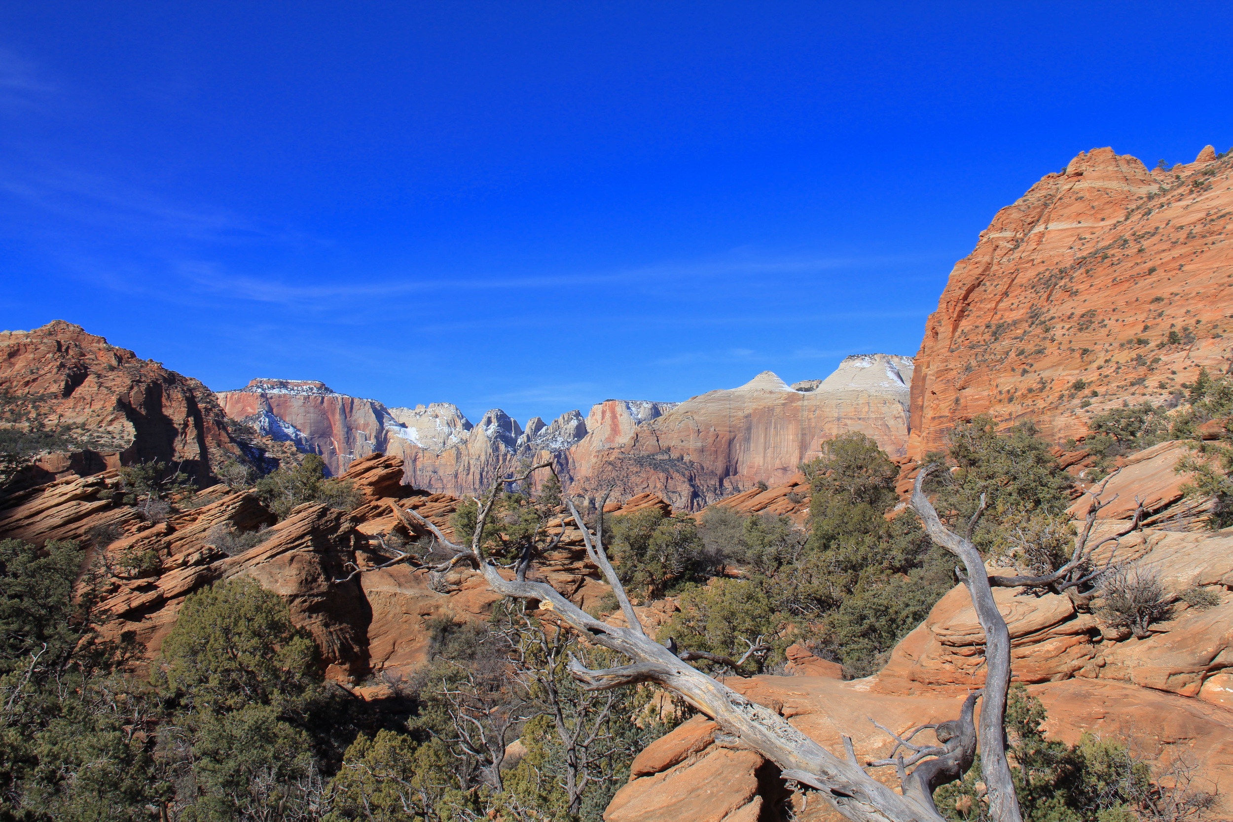  One of our best hikes: The short and sweet Canyon Overlook Trail, a 45-minute rock-hopping jaunt to a views-for-miles summit {pictured below}. 