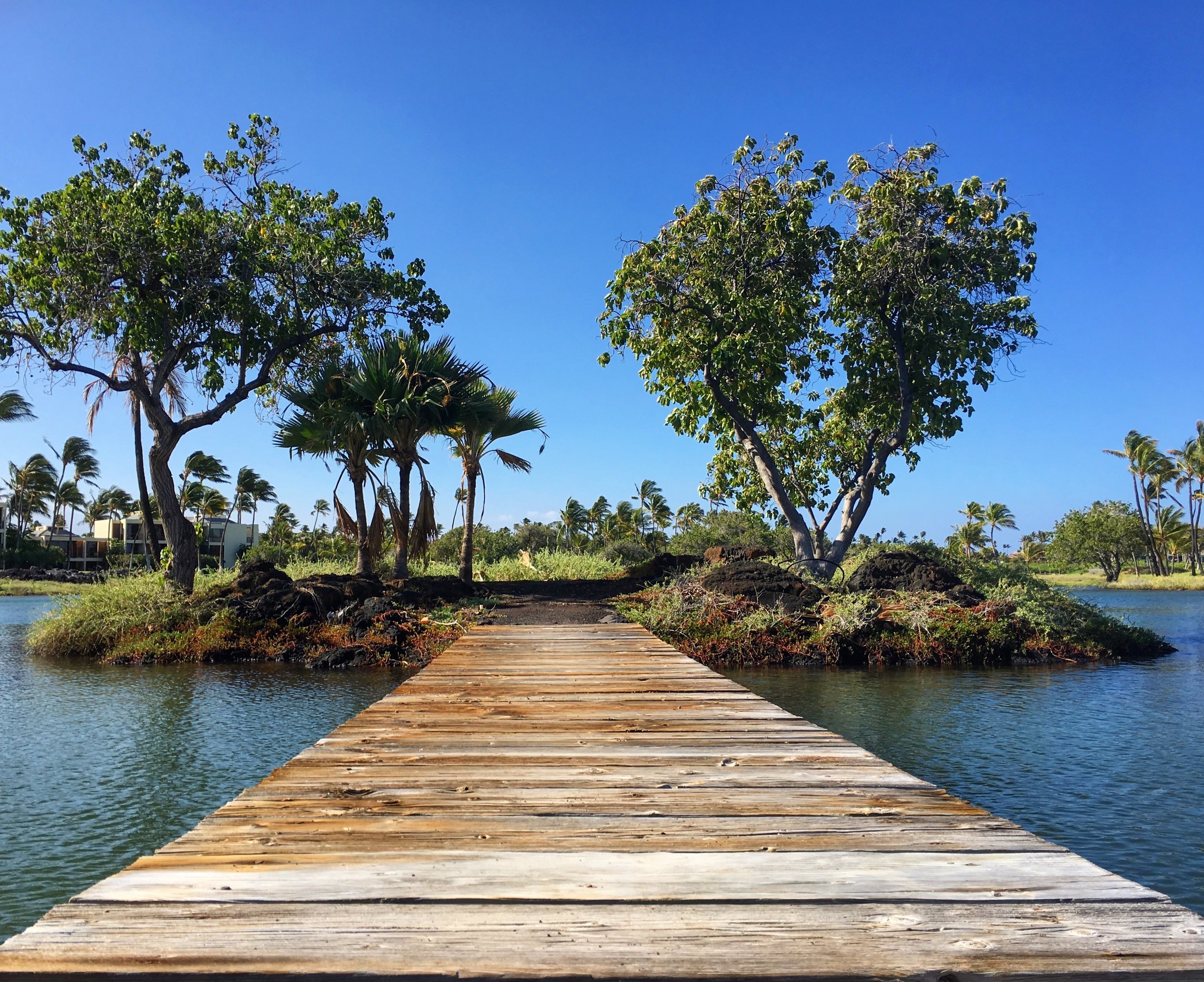 A bridge over one of the seven ancient Kalahuipua'a Fishponds&nbsp;used by ancient Hawaiians to raise fish and supplement their ocean fishing efforts.&nbsp;