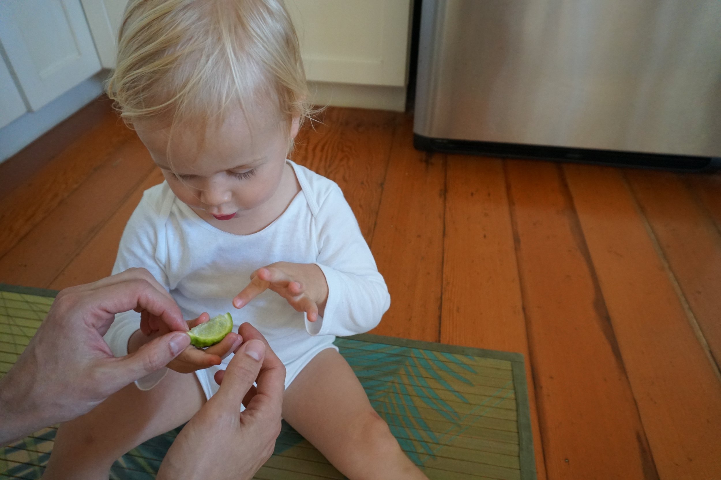 Checking out the just-picked lime plucked from a tree outside our cottage