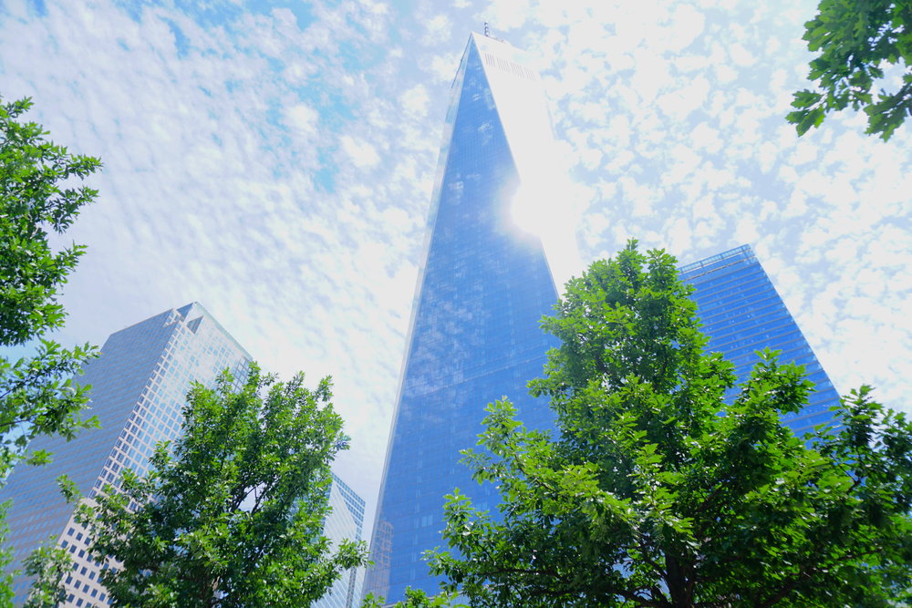  One World Trade Center. 