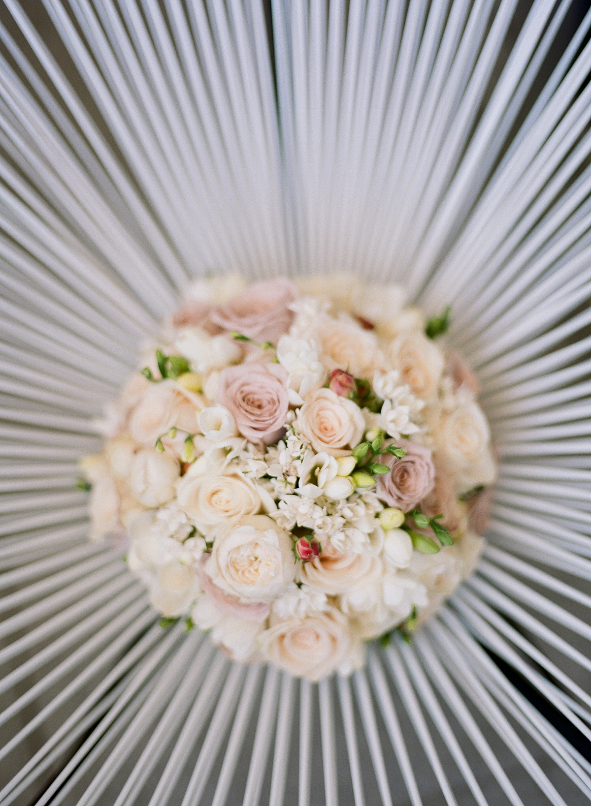 Watsons Bay wedding by Mr Edwards Photography_0737_0976.jpg