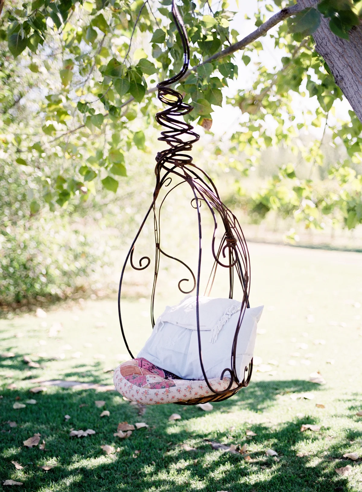 The Vine Grove Mudgee Wedding, Photography by Mr Edwards_1774.jpg