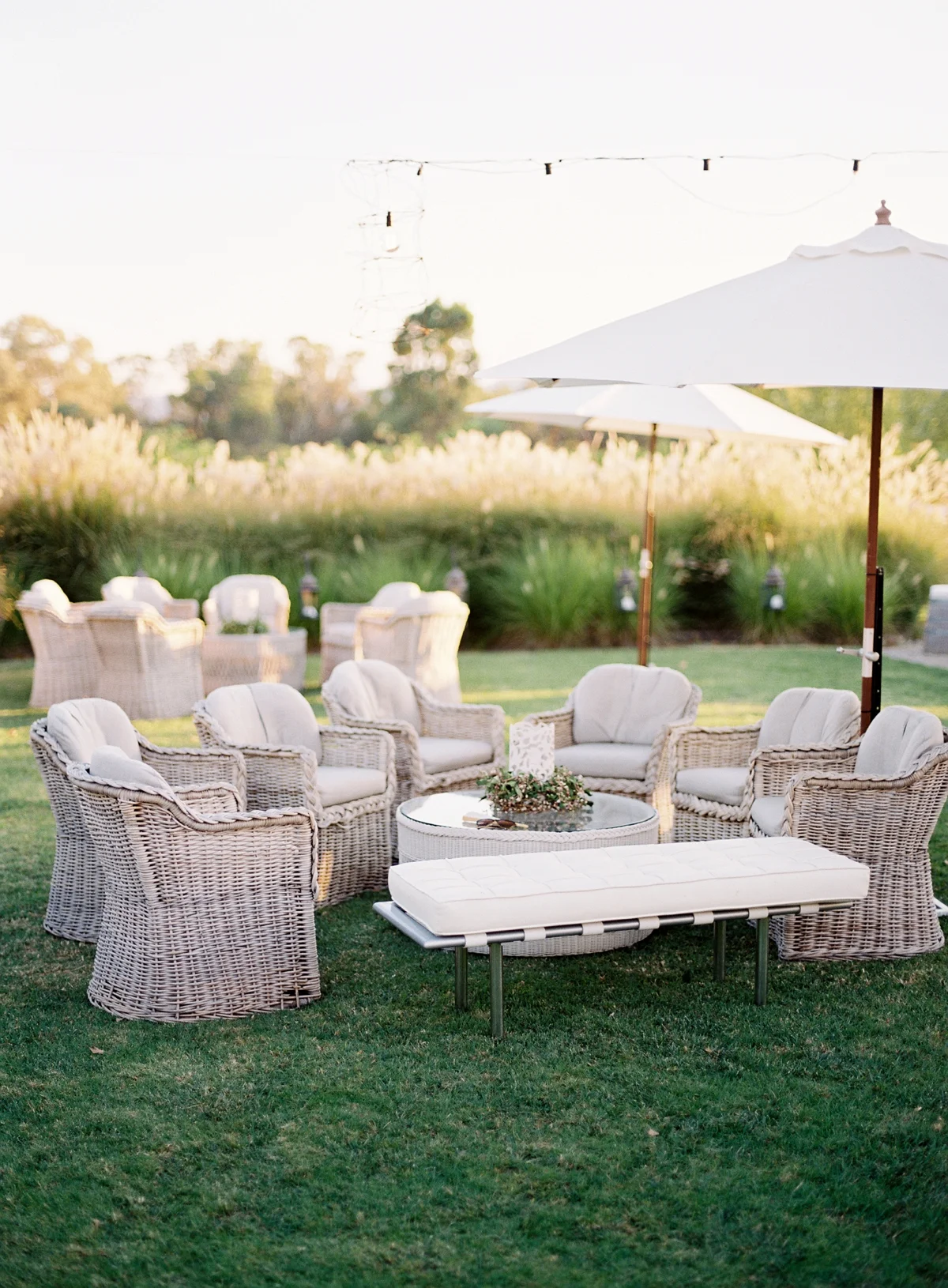The Vine Grove Mudgee Wedding, Photography by Mr Edwards_1797.jpg