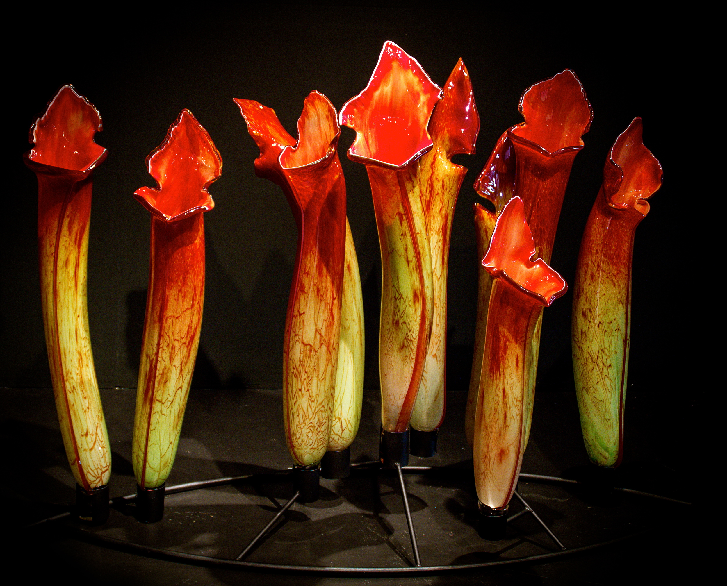 Carnivorous 2012 Glass and Steel copy.jpg