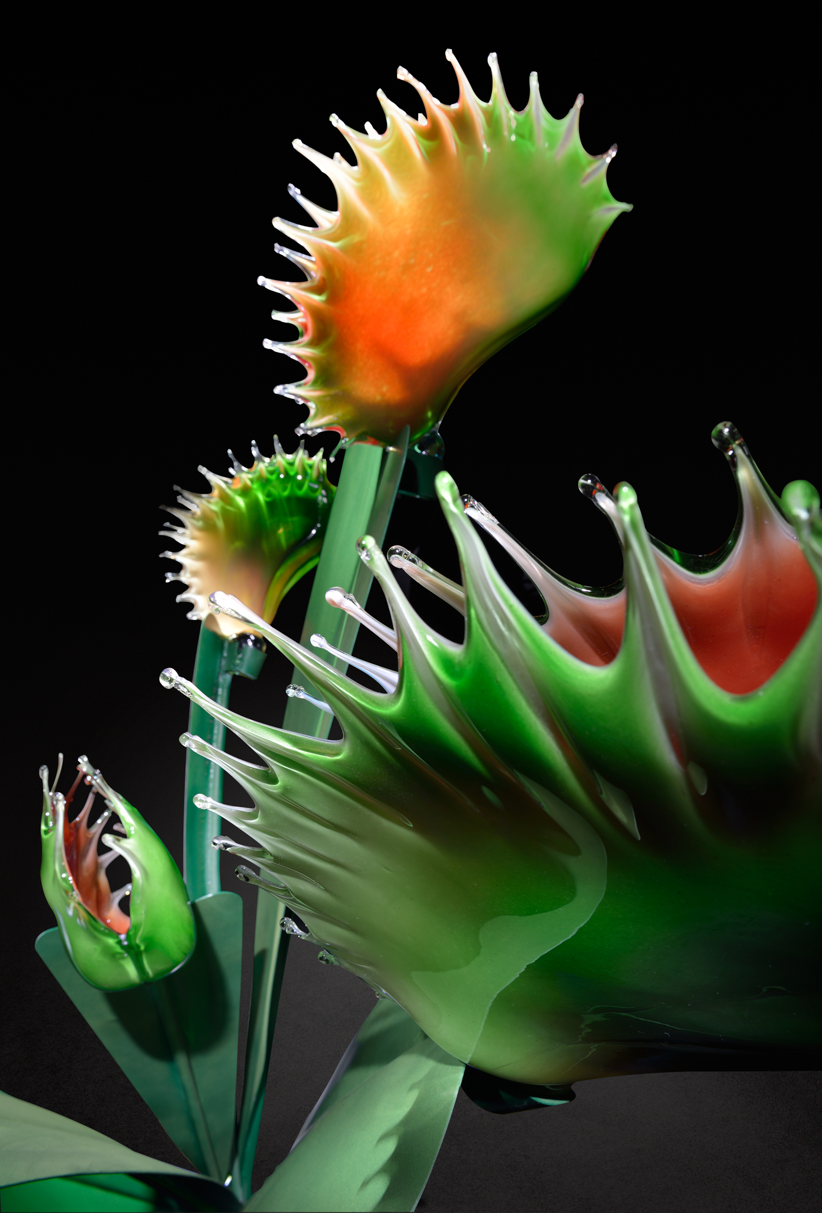 Carnivorous II detail 2013 Glass and Steel copy.jpg