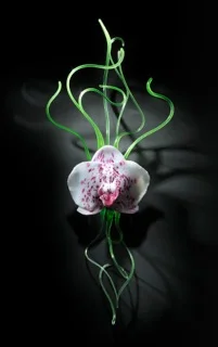 glass-flower-gamrath.jpg