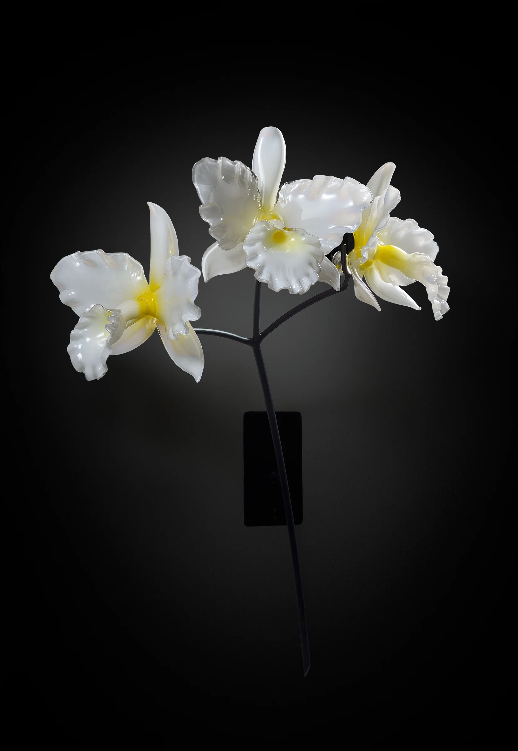Flower-2-v2.jpg