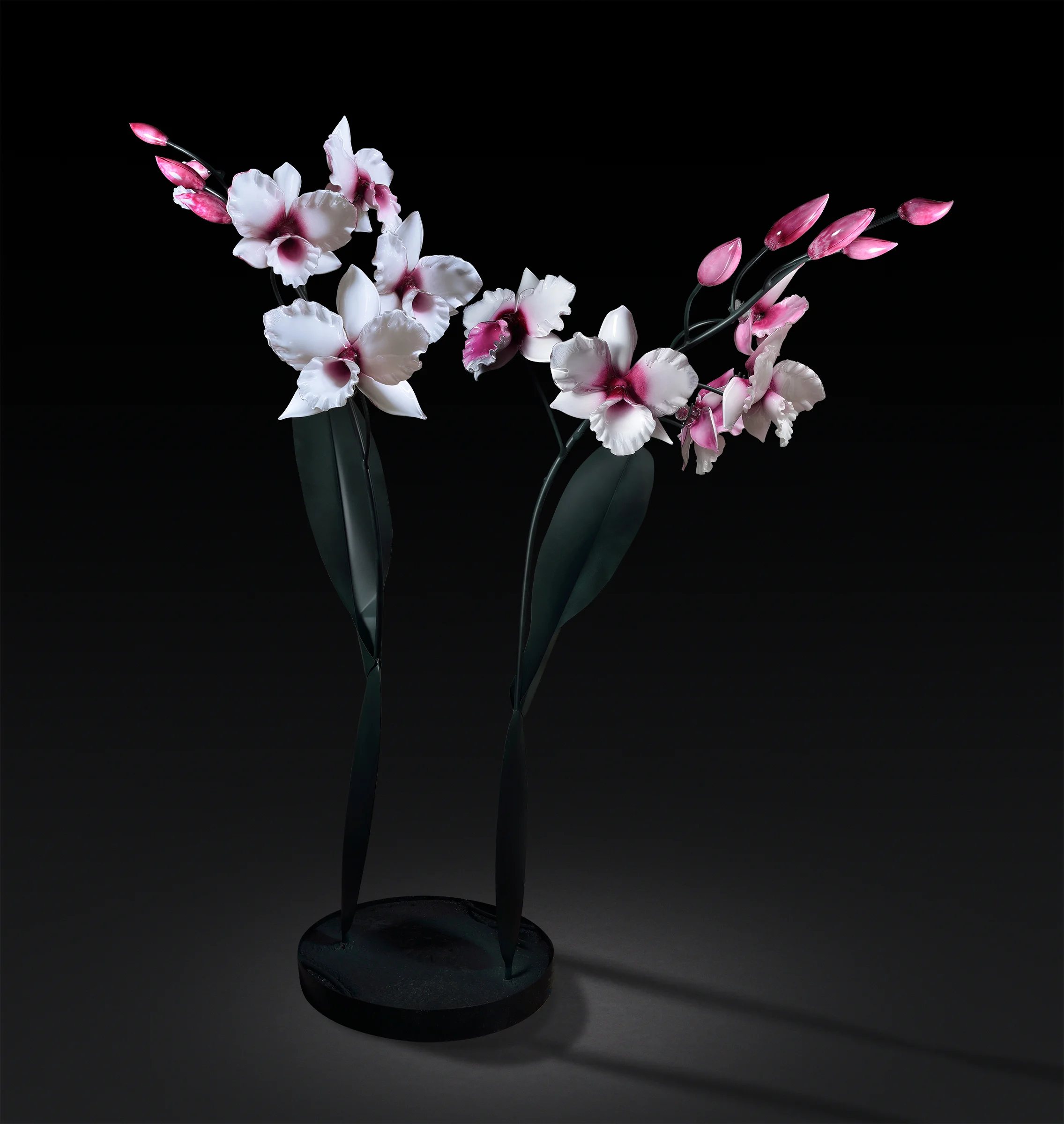 Orchid-7-comp.jpg