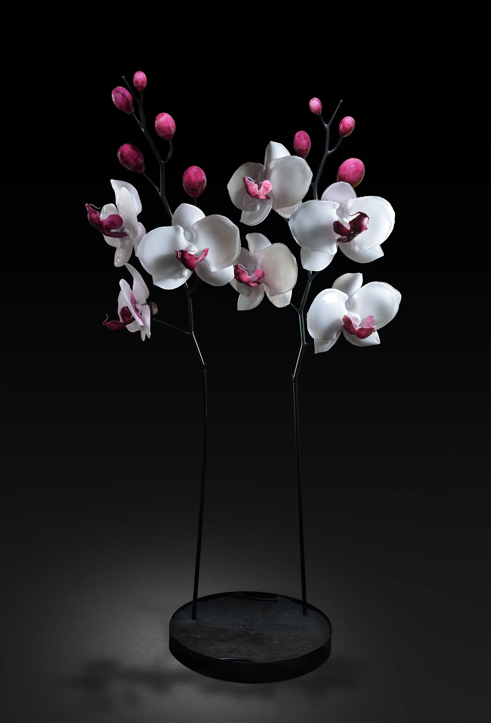 Orchid-9-v2.jpg
