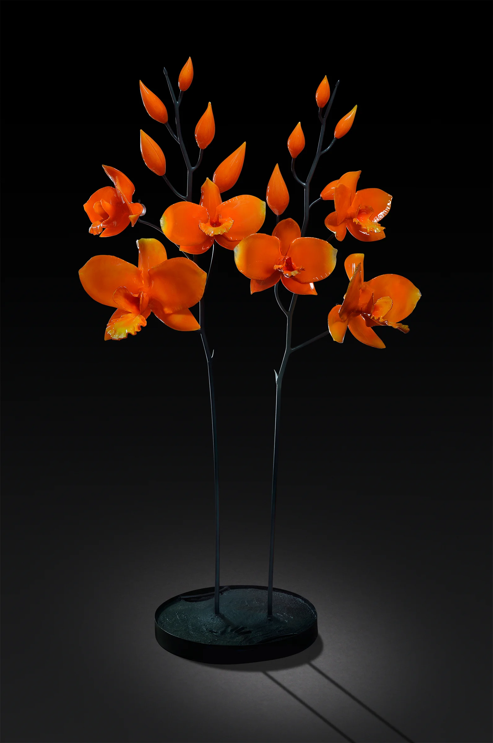 Orchid-5-v2.jpg