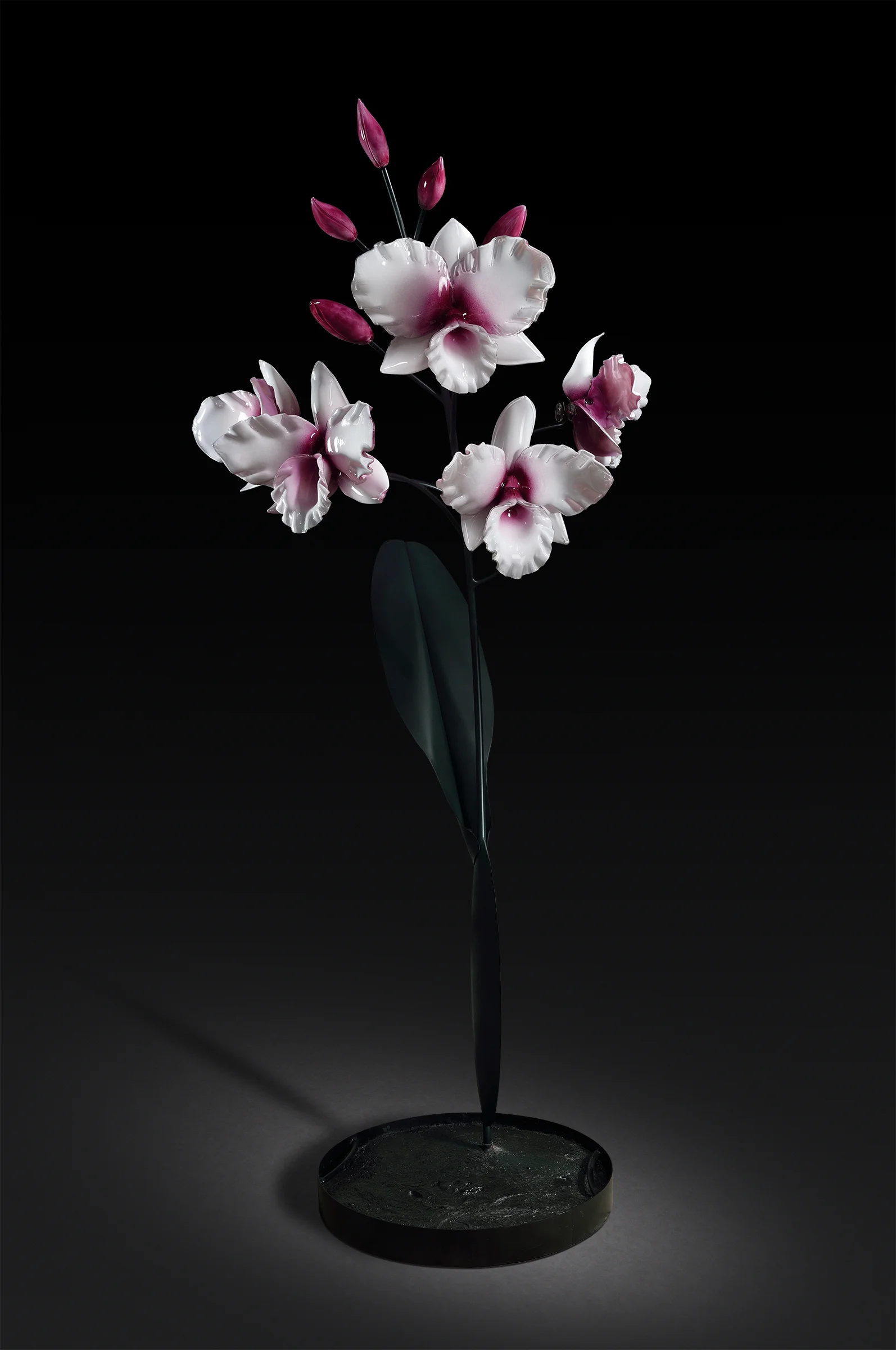 Orchid-4-v2.jpg