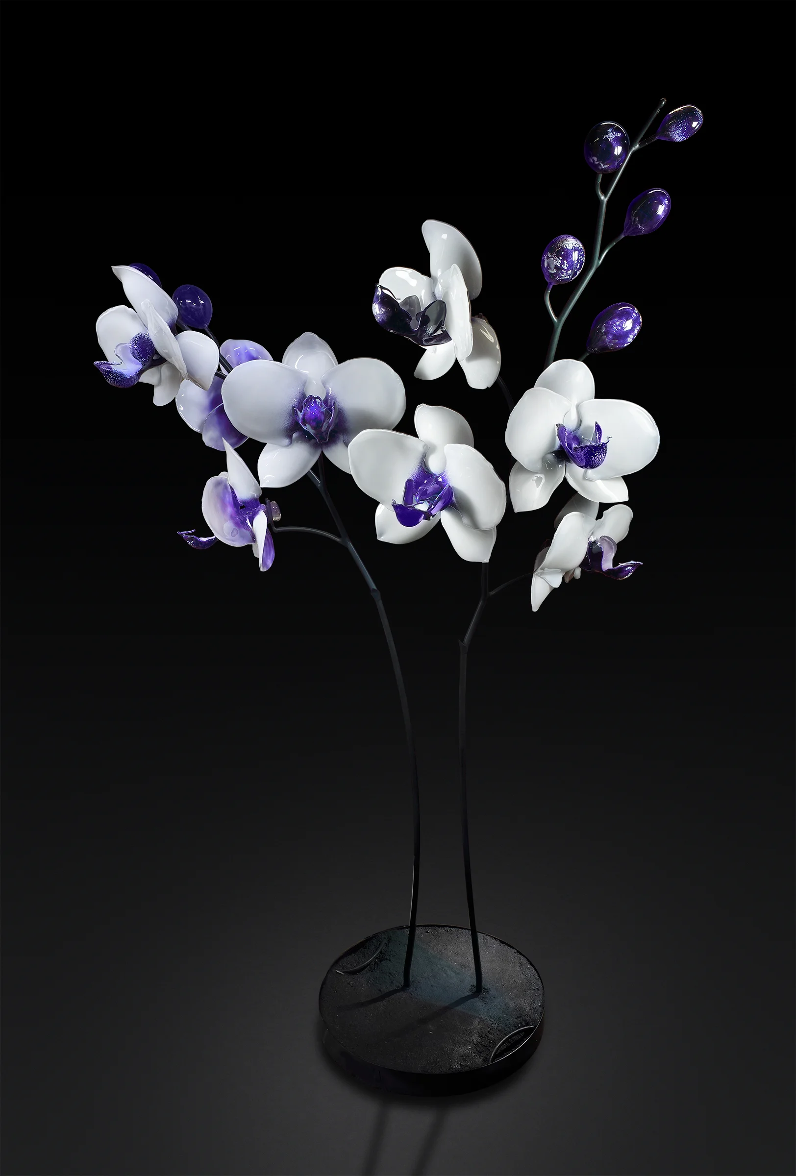 Orchid-3-v2.jpg