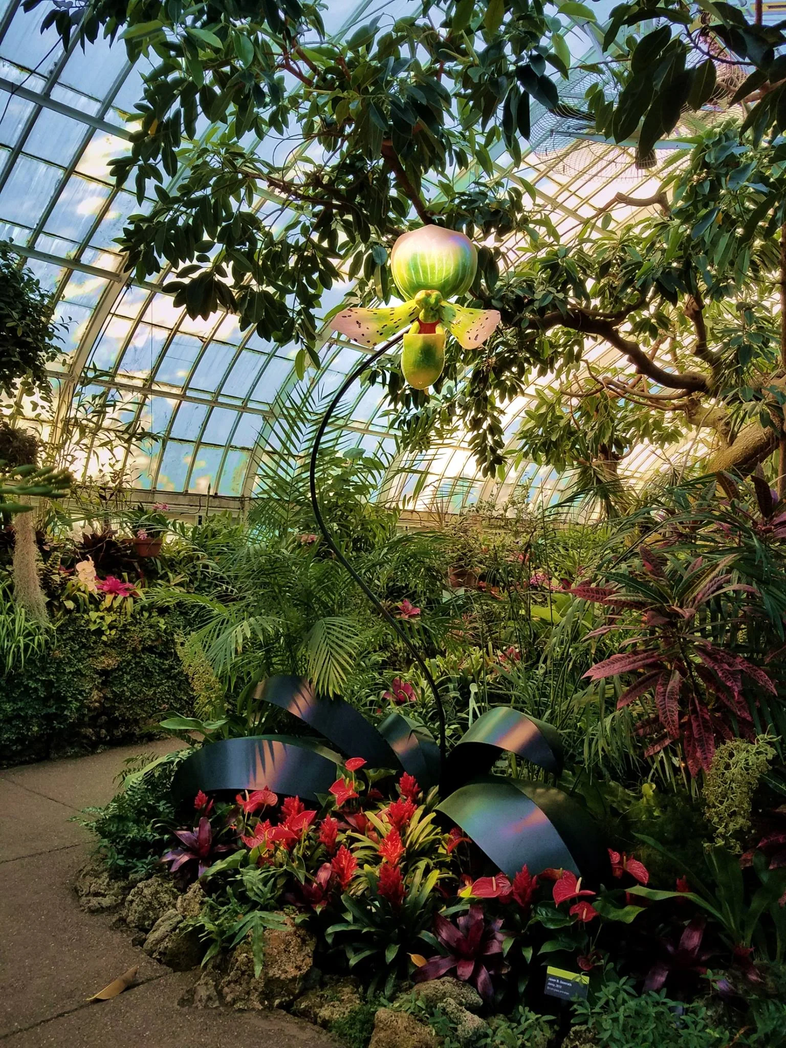 18556880_10155242635049259_1269916712500159322_o.jpg