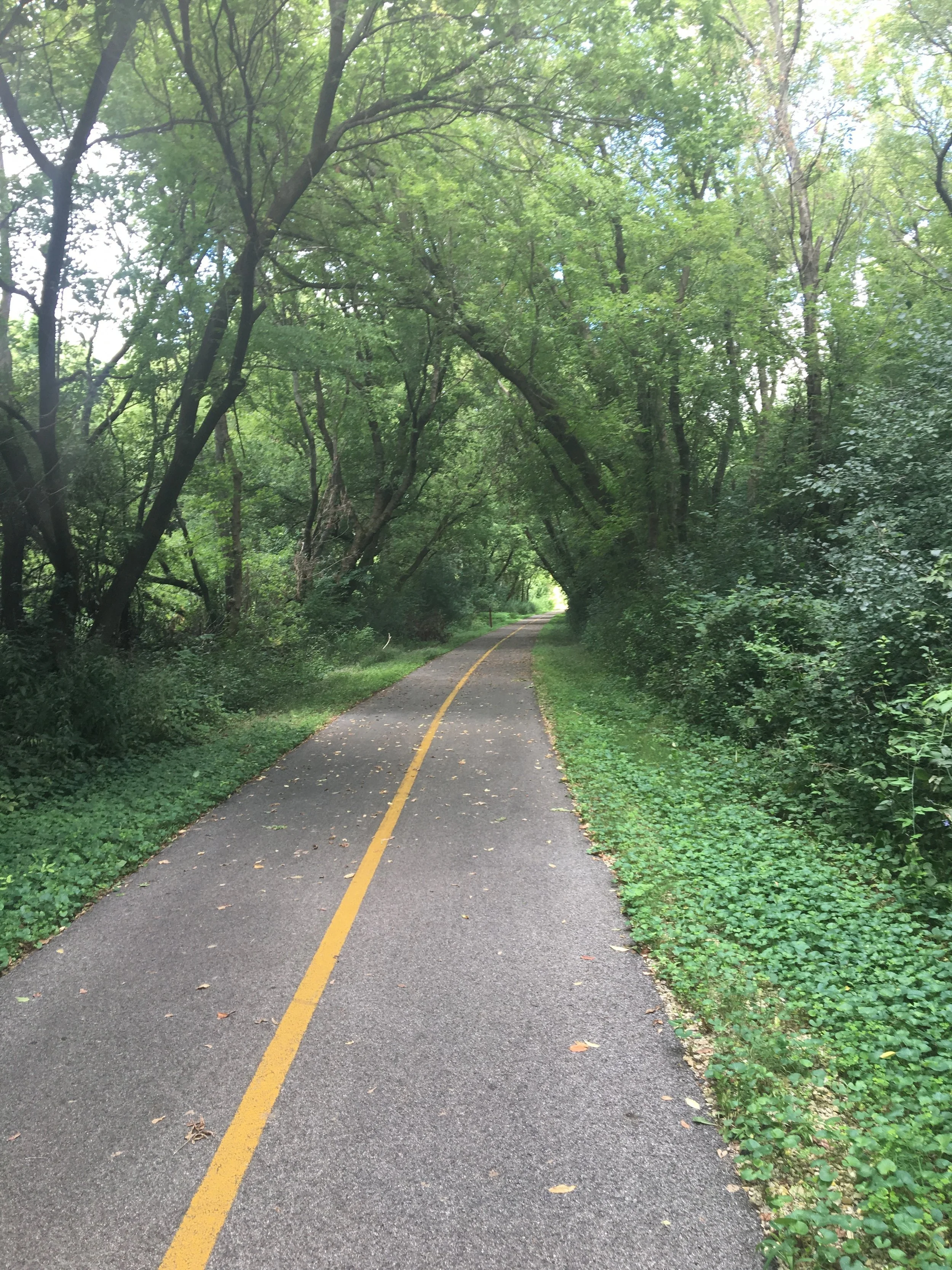 I went to the local bike trail and walked 4 miles to the next town and back.