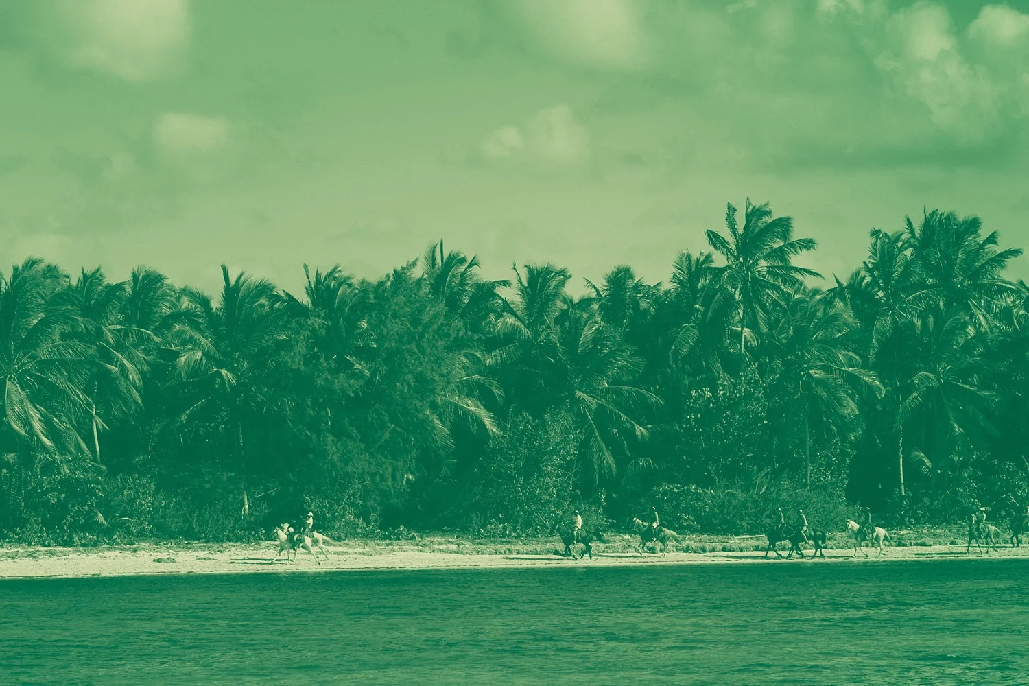 Dominican Green-1.jpg
