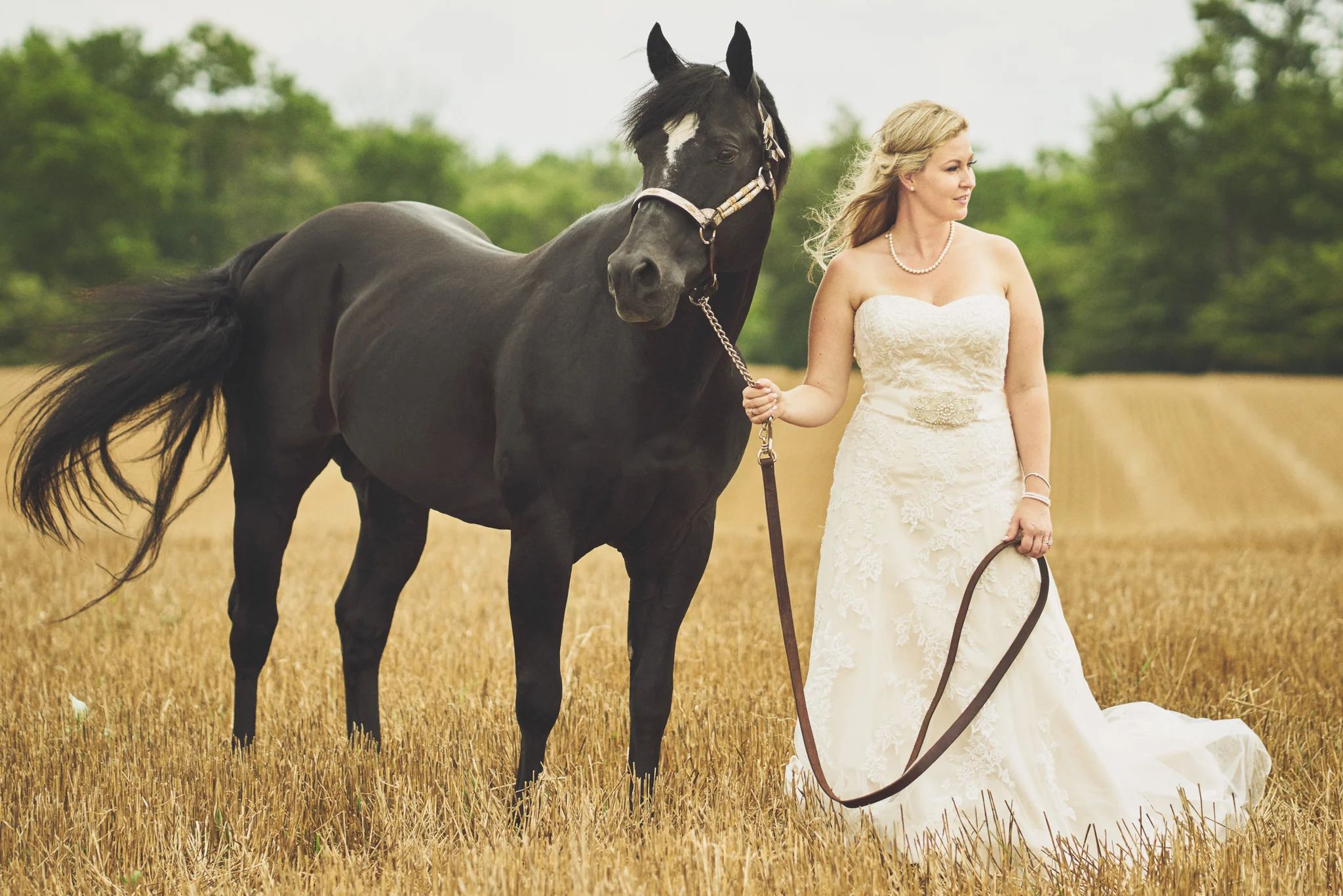 All the Pretty Horses