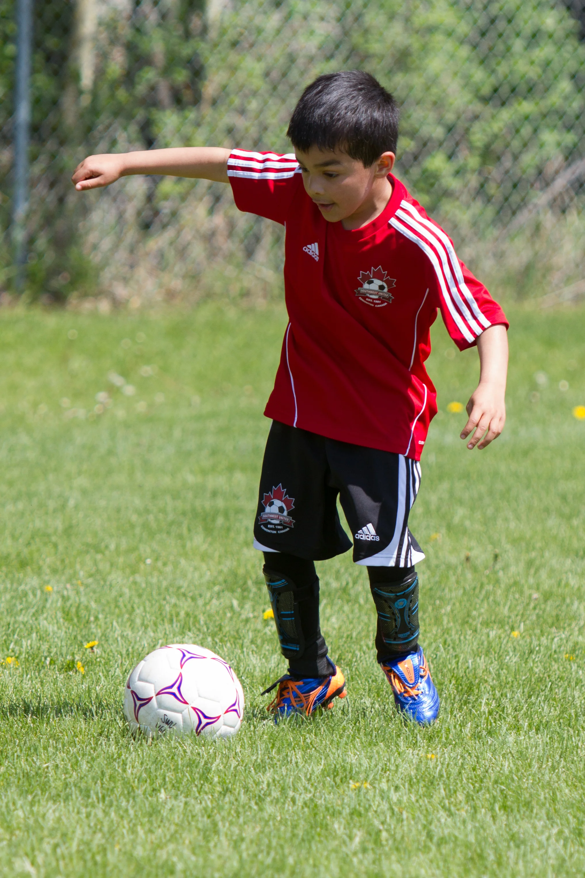 IMG_1740-3288879924-O.jpg