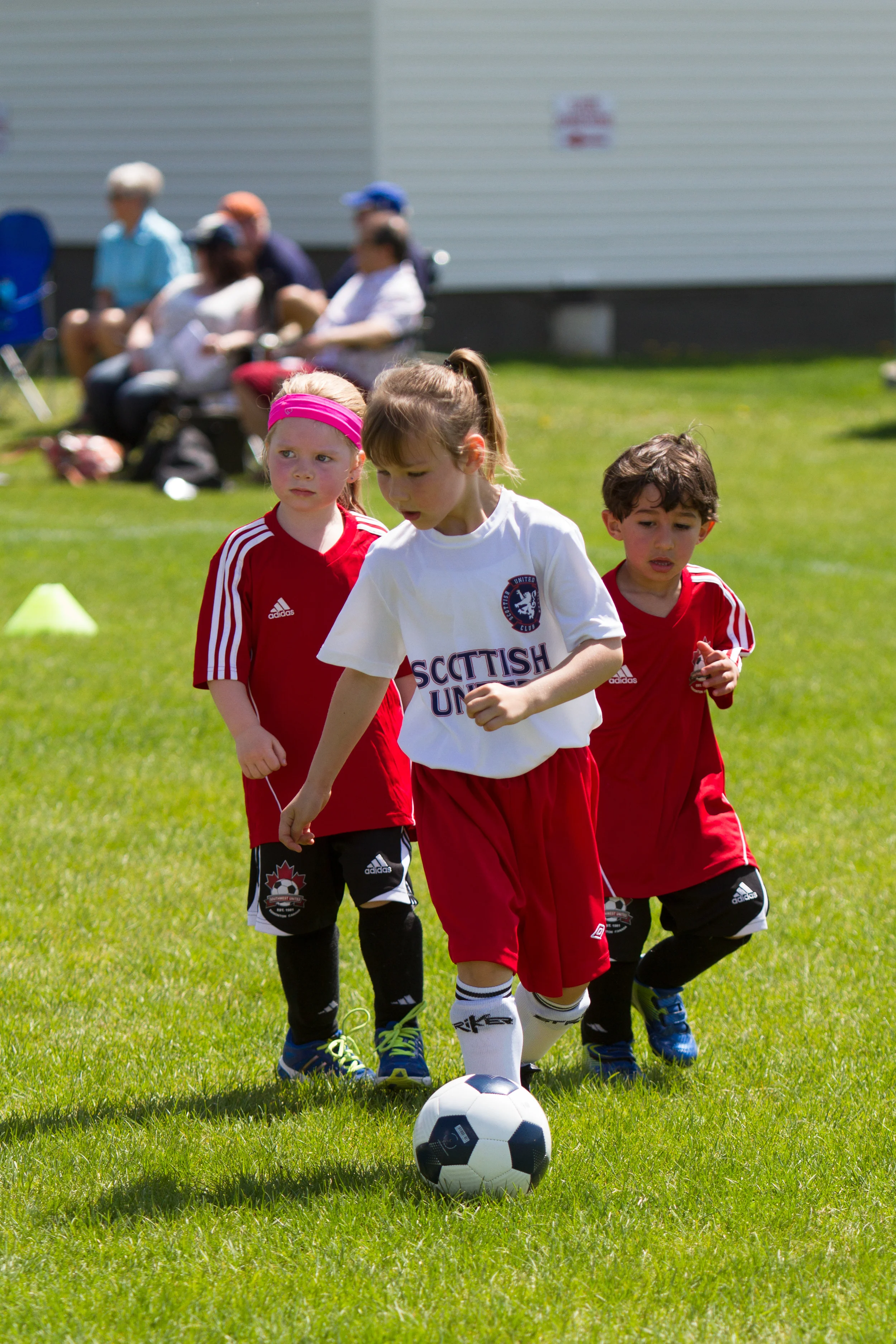 IMG_1913-3291350775-O.jpg