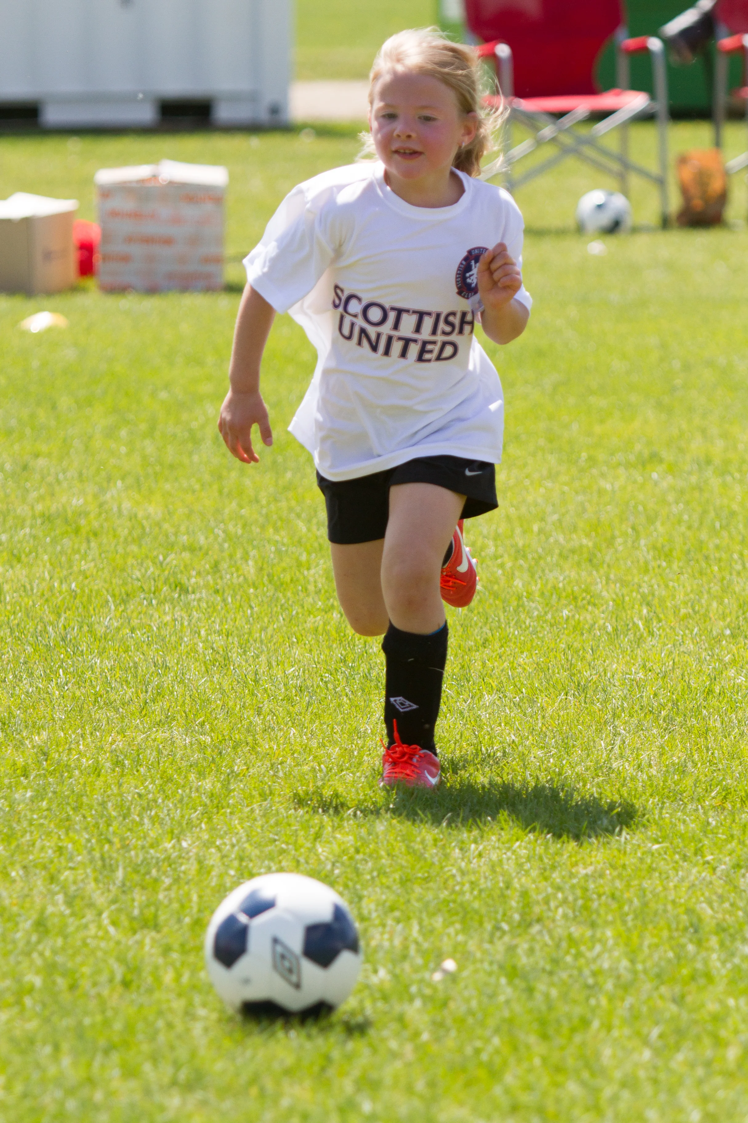IMG_2005-3291409885-O.jpg