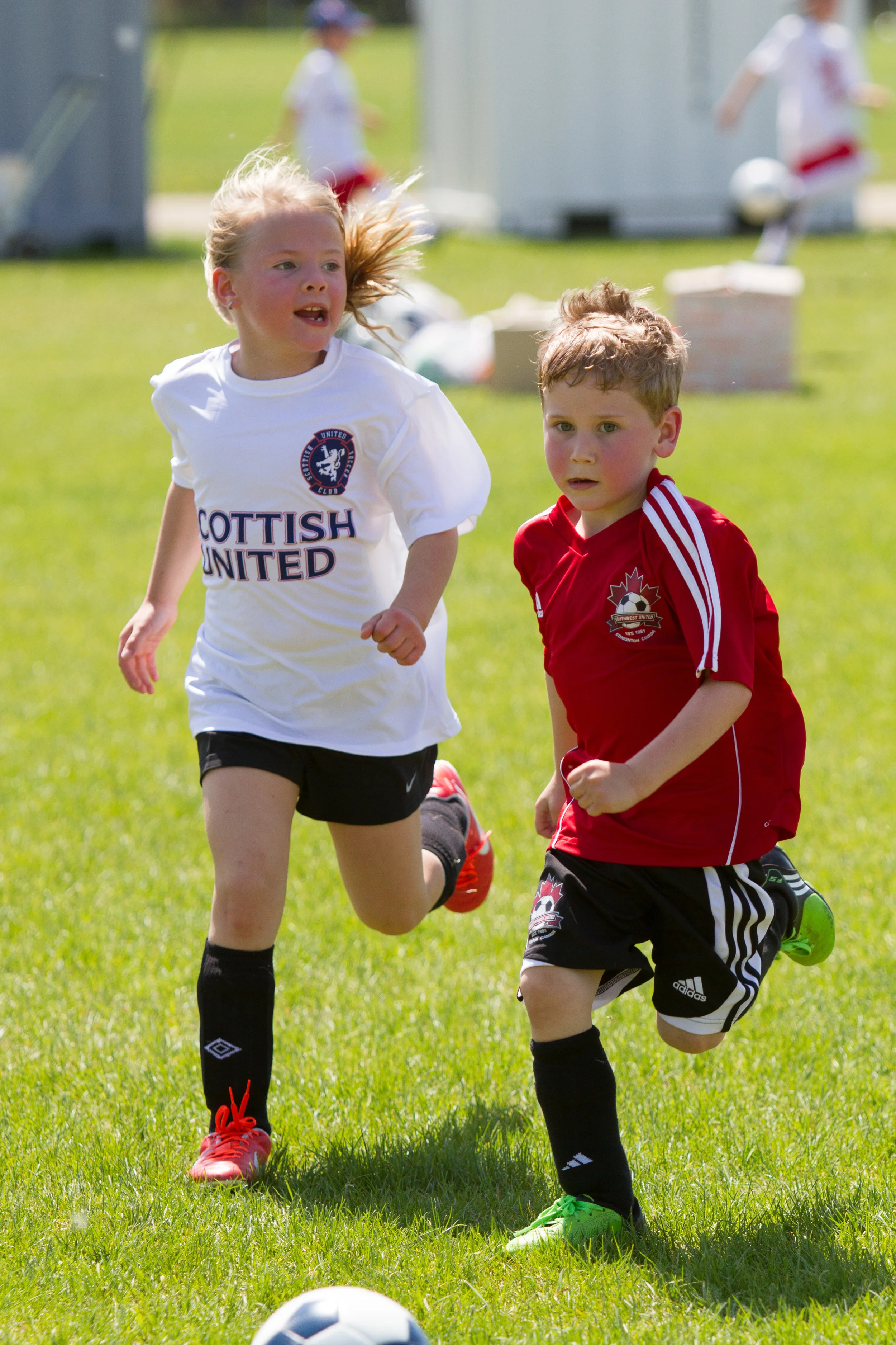 IMG_2010-3291413753-O.jpg