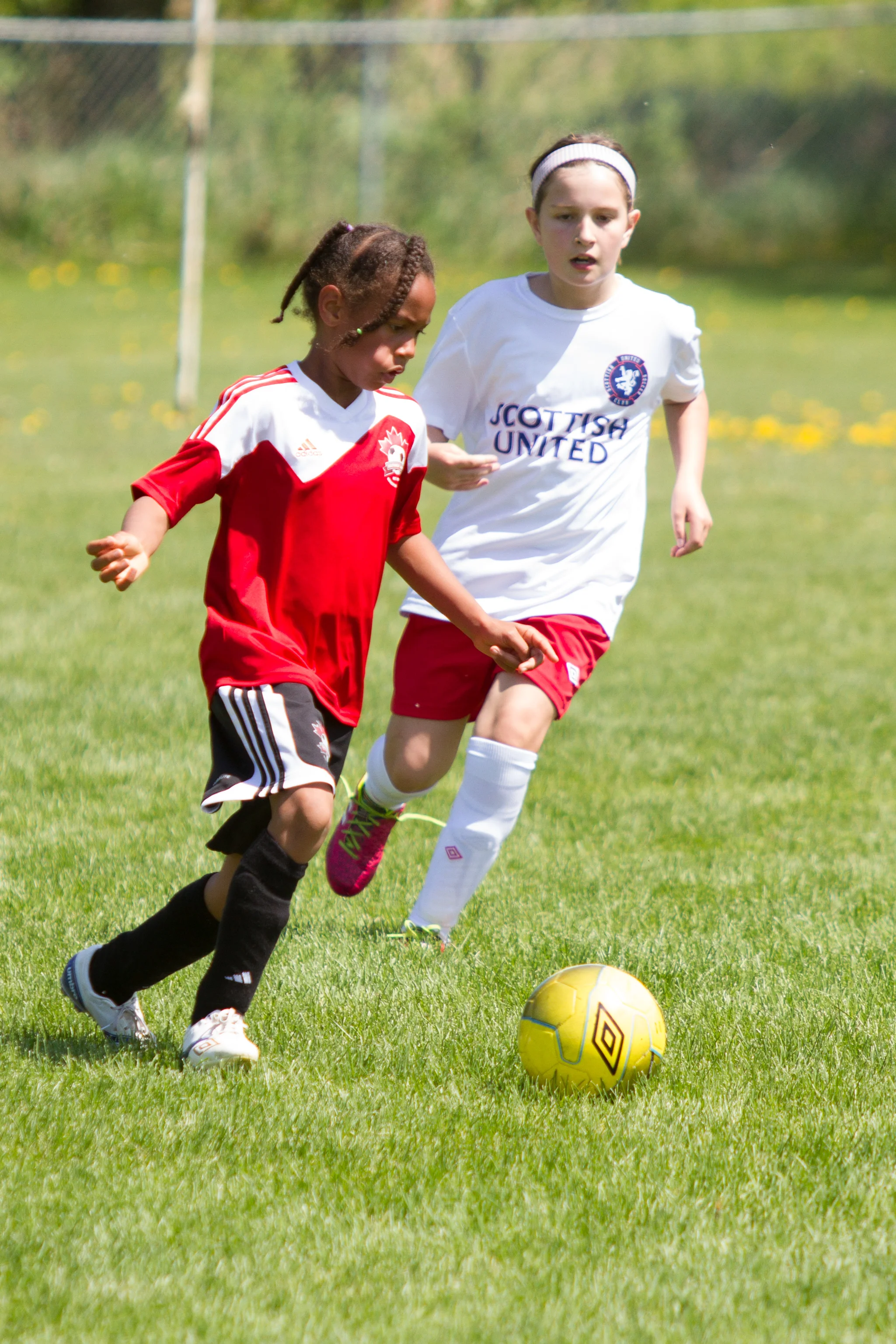 IMG_2081-3291436883-O.jpg