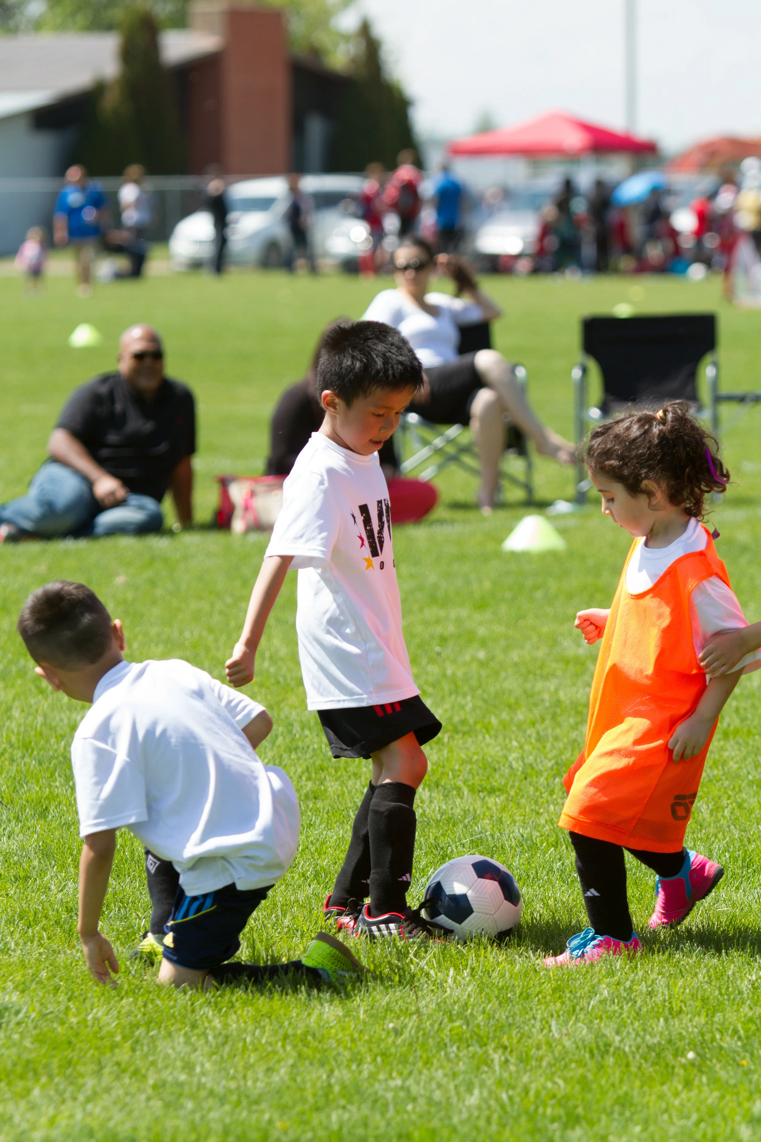 IMG_2106-3291445864-O.jpg