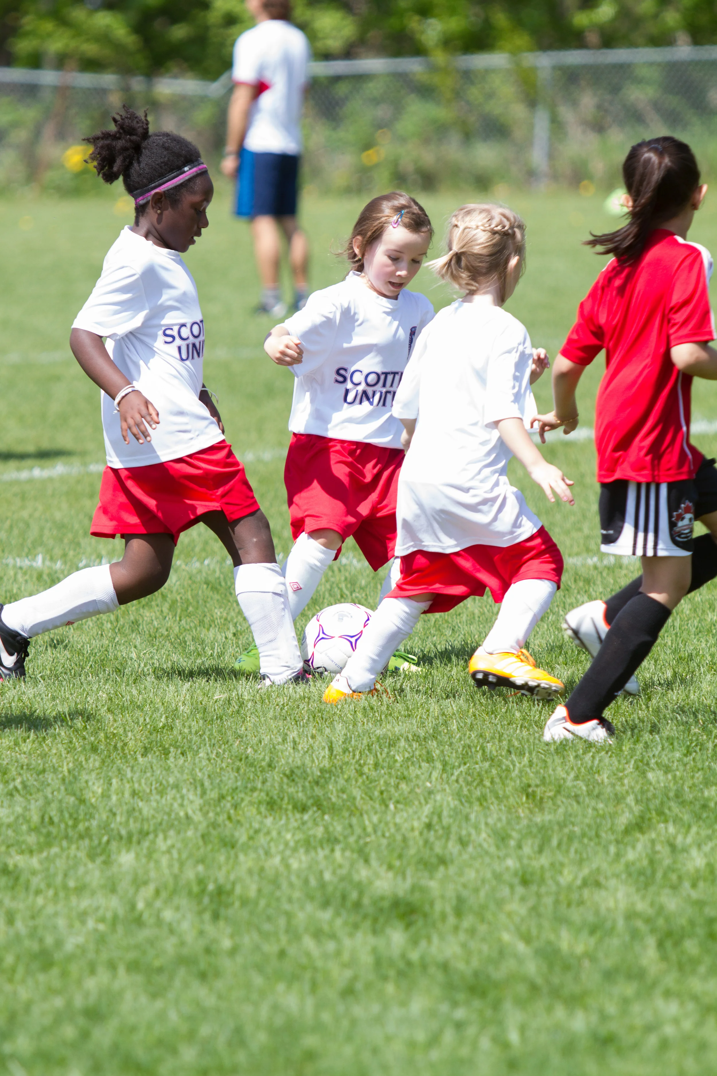 IMG_2169-3291477217-O.jpg
