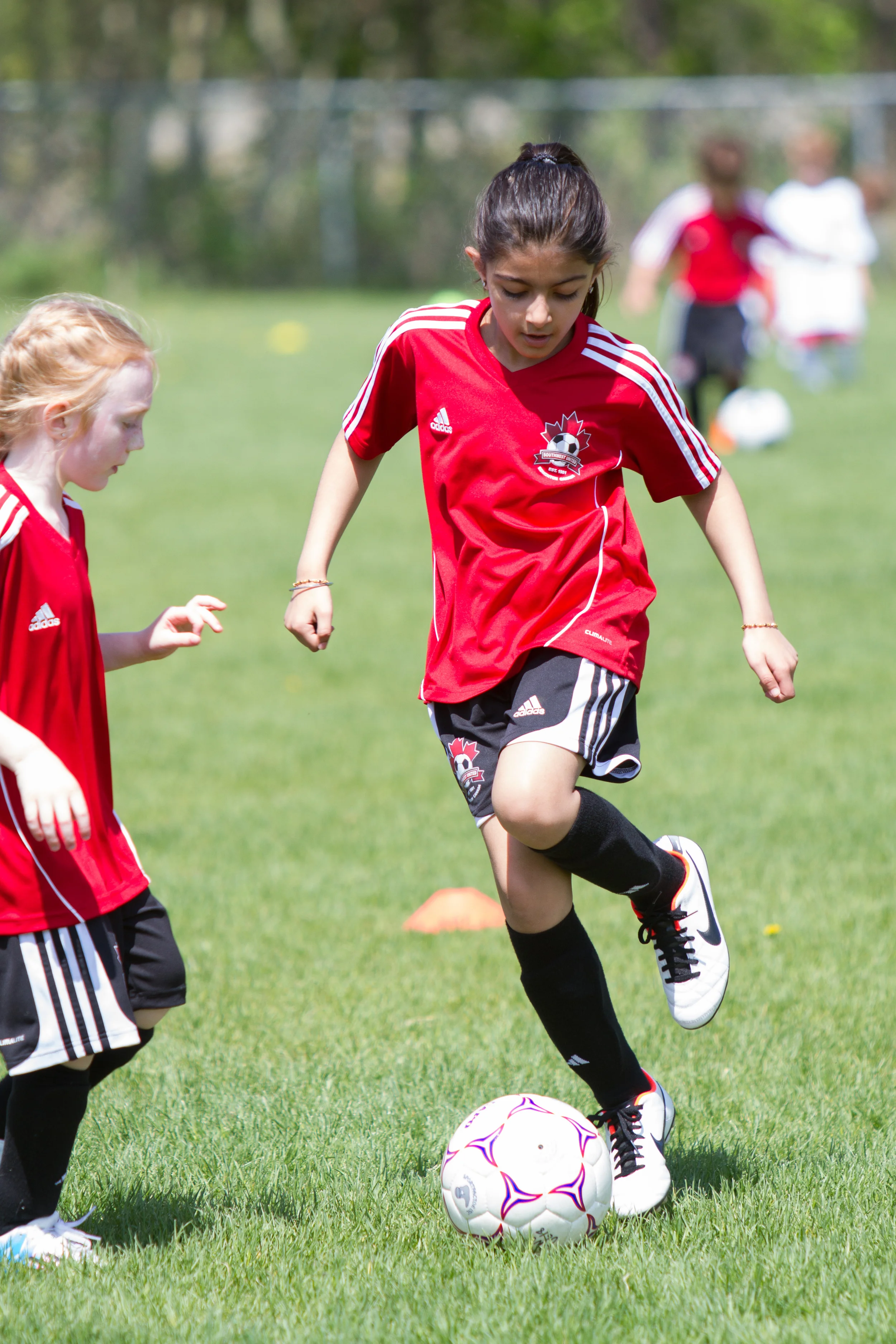 IMG_2178-3291480186-O.jpg