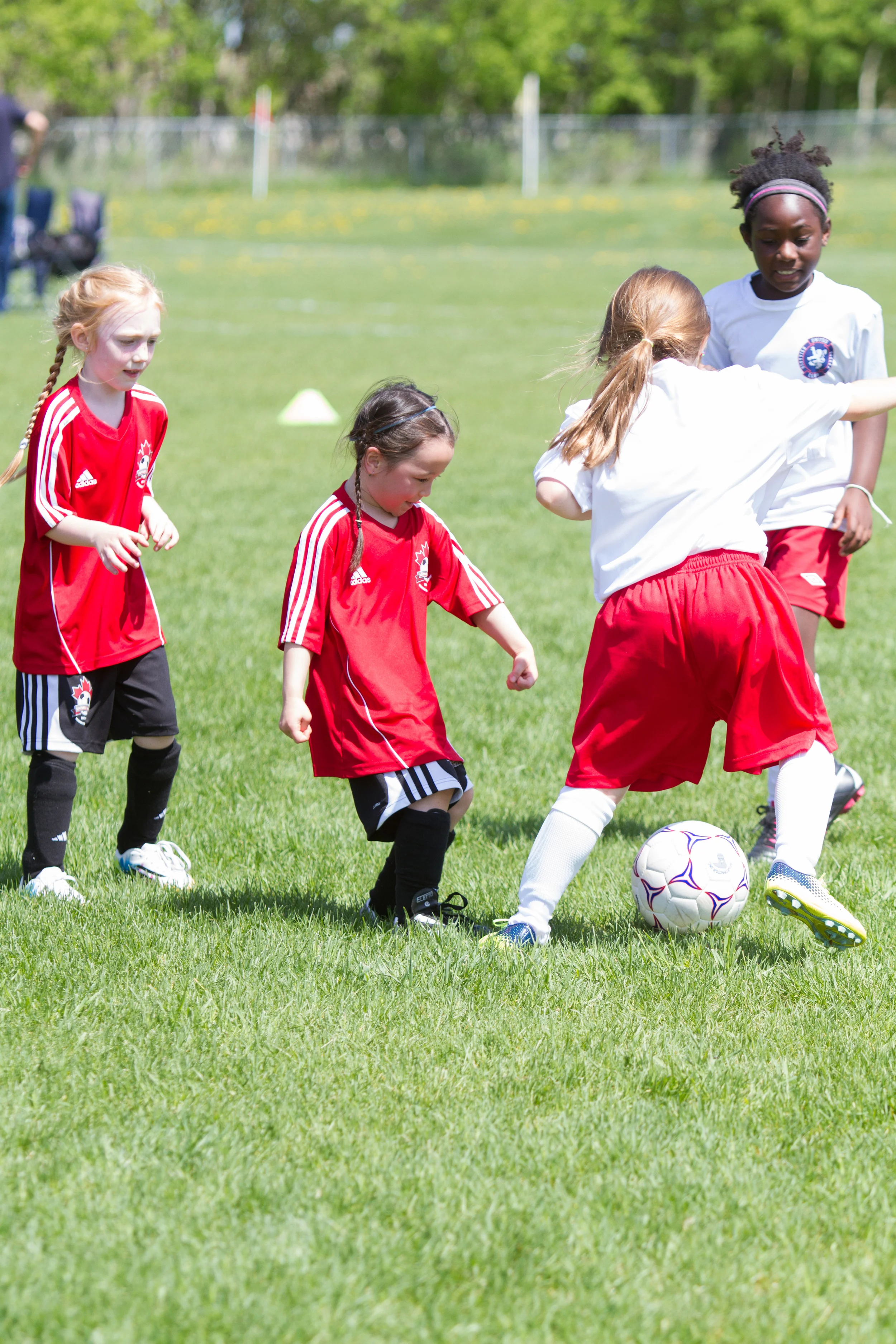 IMG_2258-3291535382-O.jpg