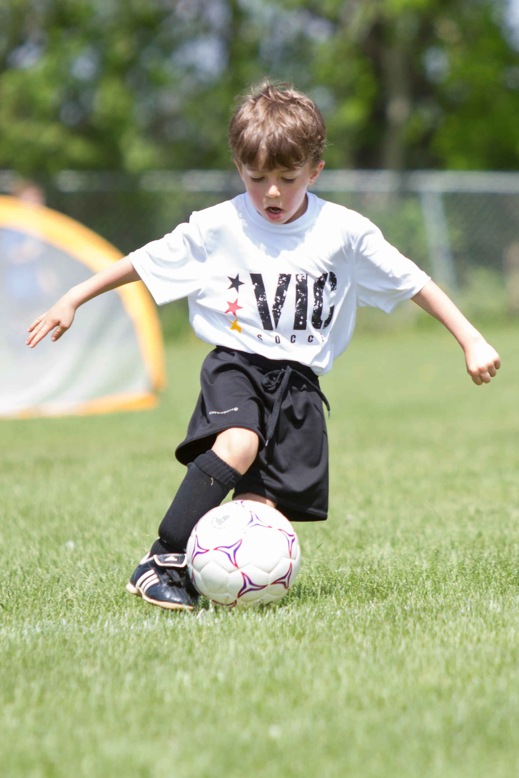 IMG_2324-3291576533-O.jpg