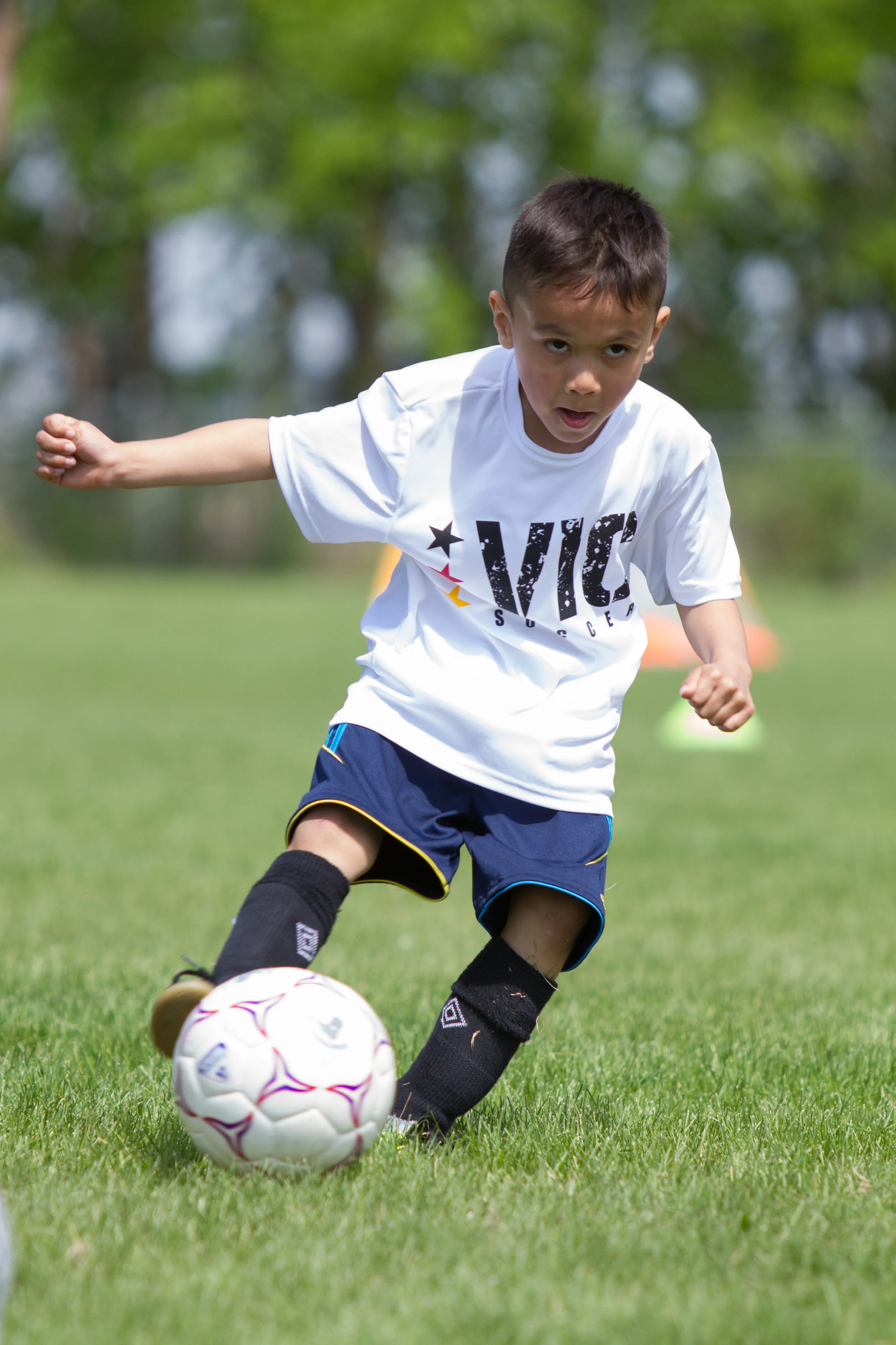 IMG_2362-3291590217-O.jpg
