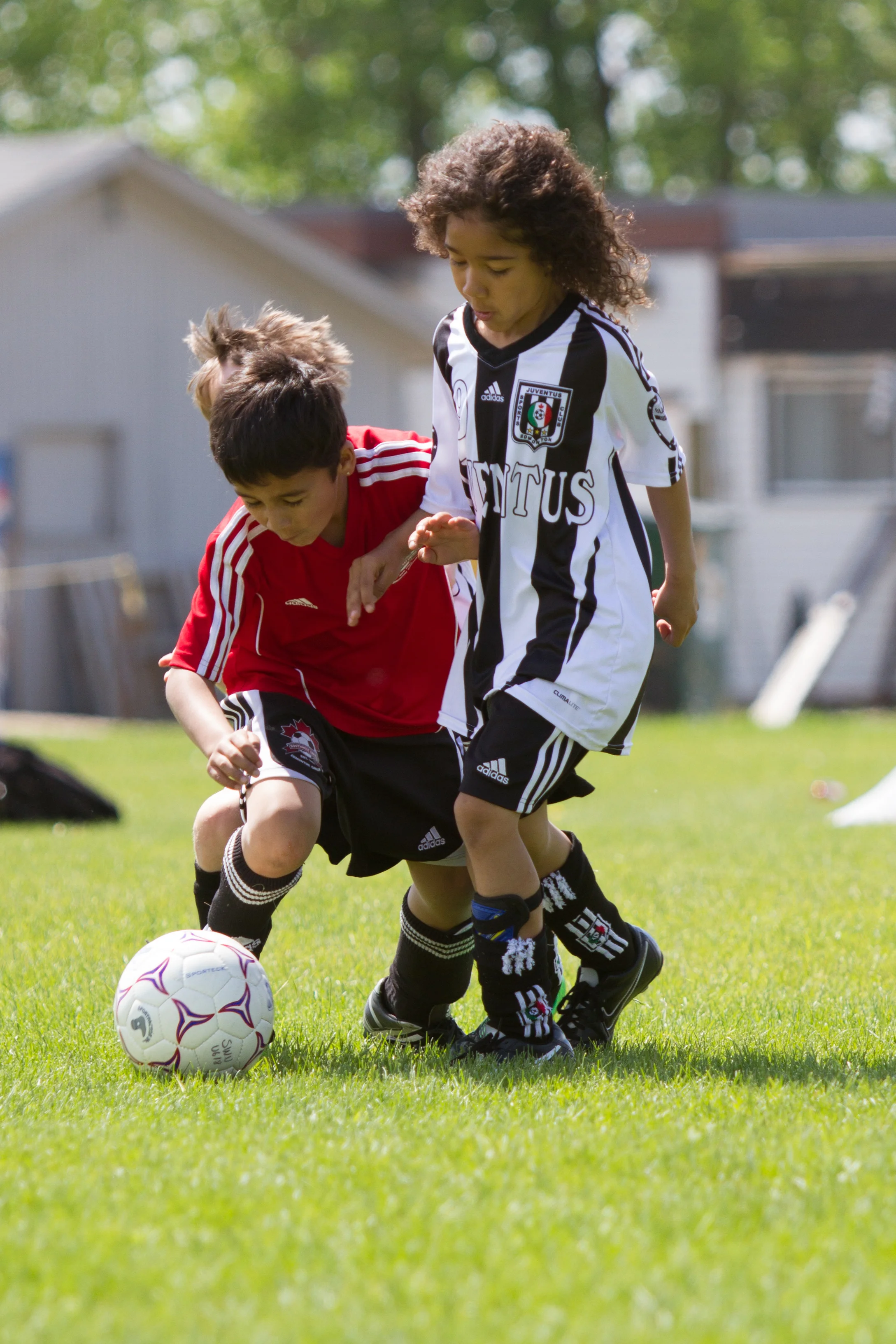 IMG_2541-3291685661-O.jpg