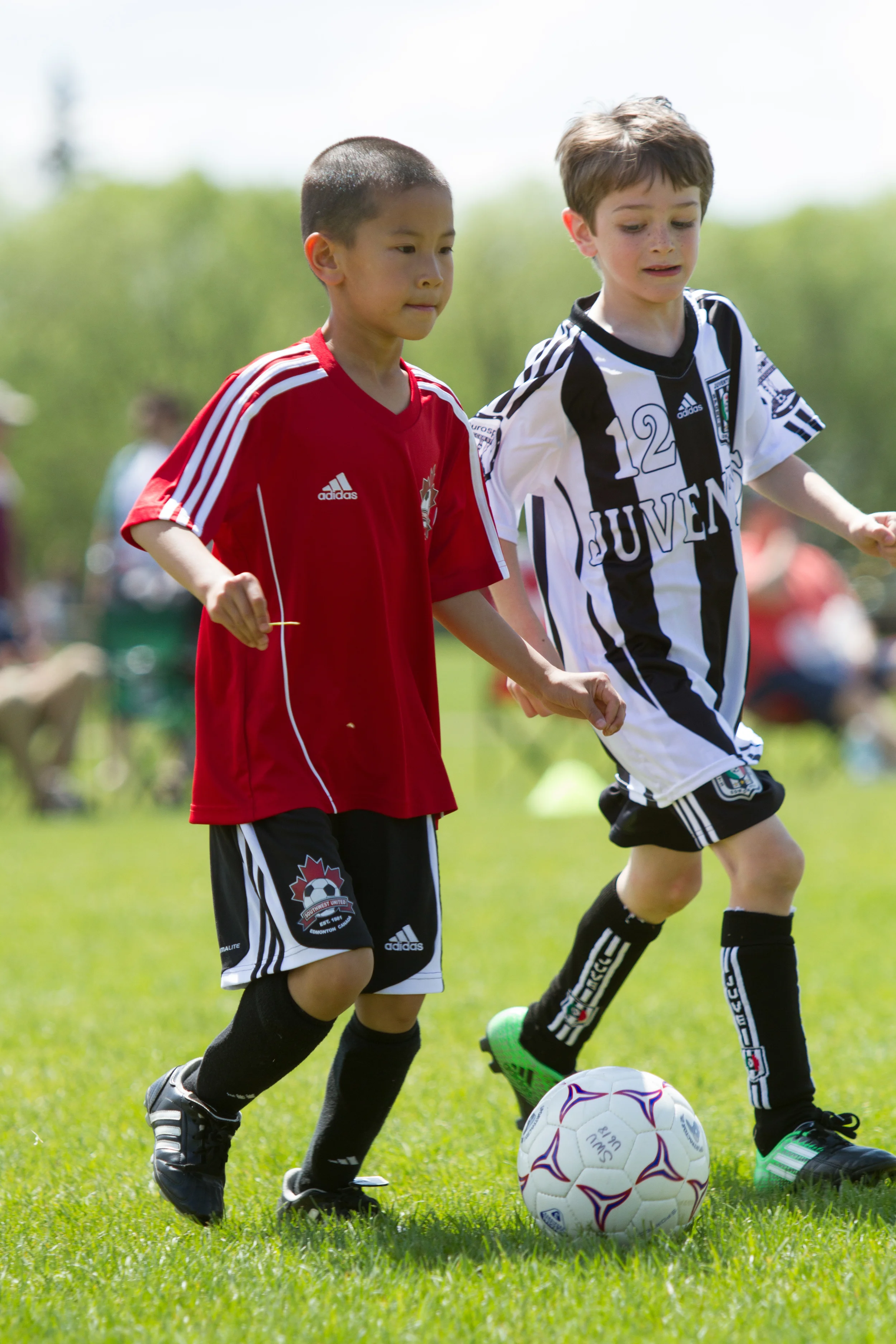 IMG_2551-3291709853-O.jpg